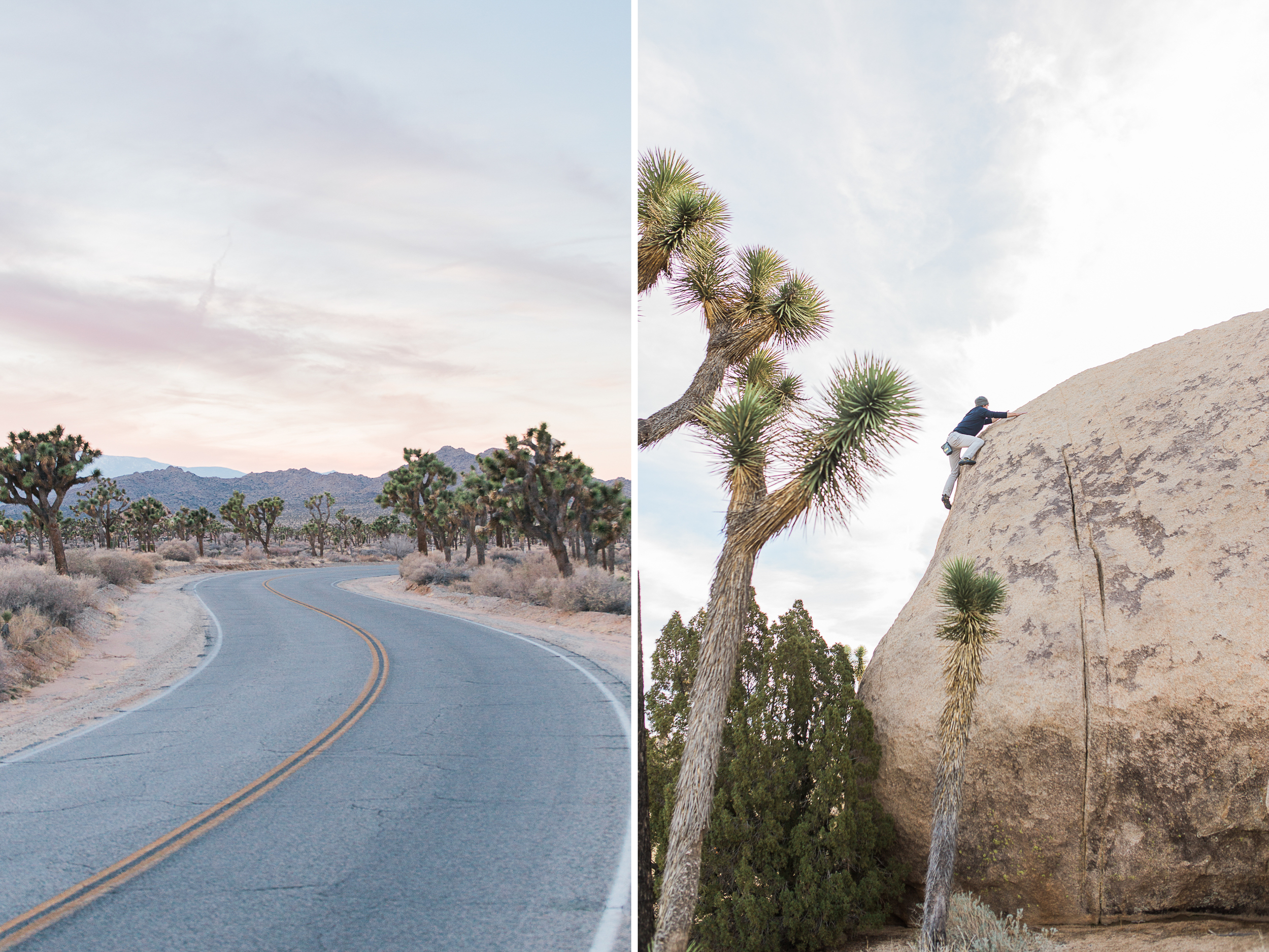 exploring in joshua tree national park | www.abbihearne.com