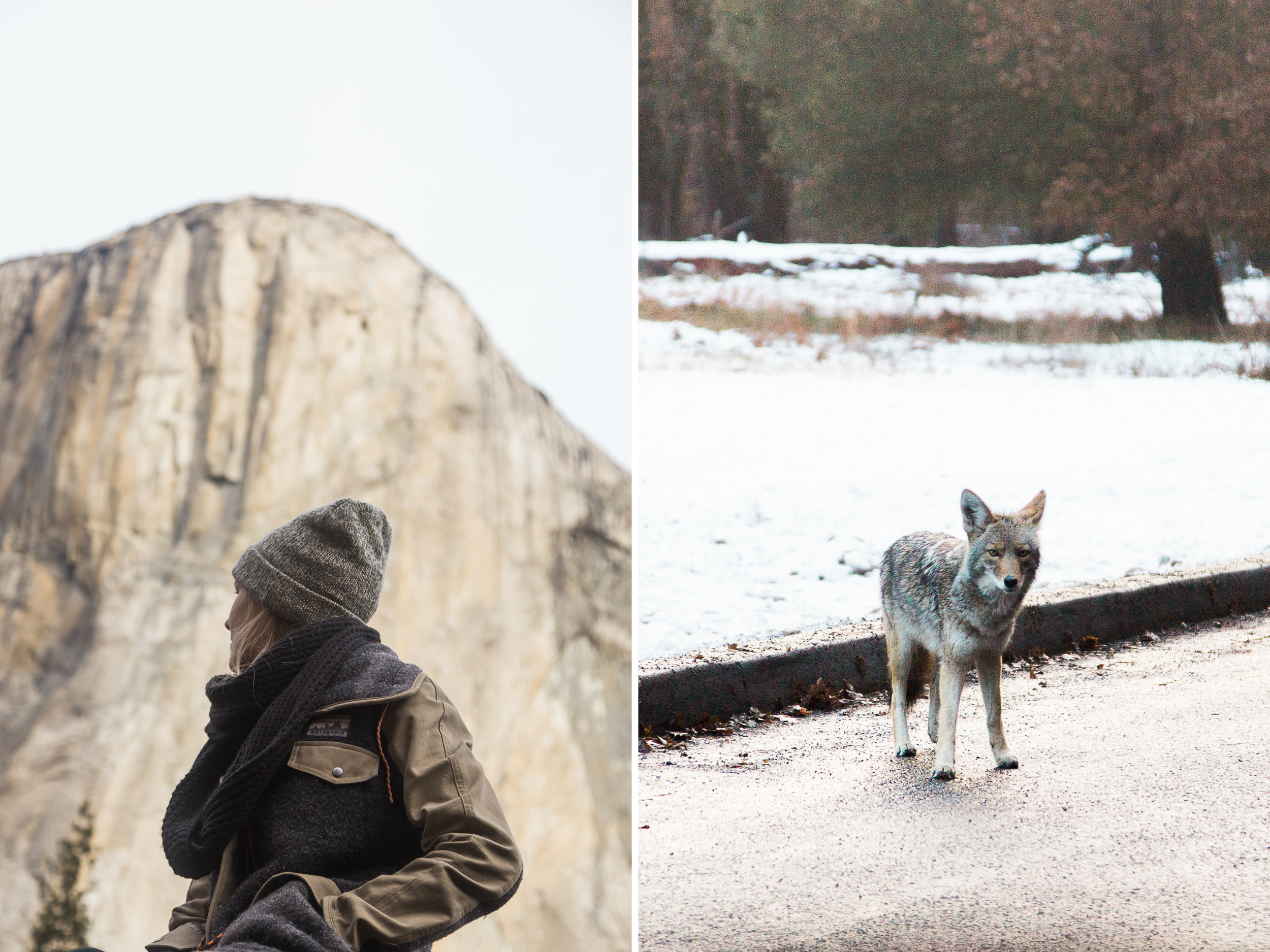 yosemite national park | www.abbihearne.com