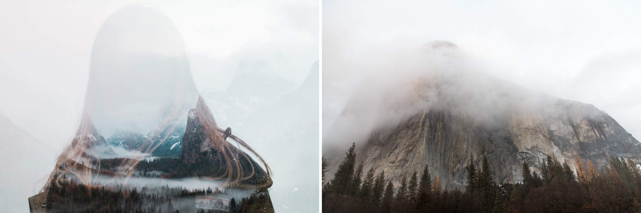 yosemite national park | www.abbihearne.com