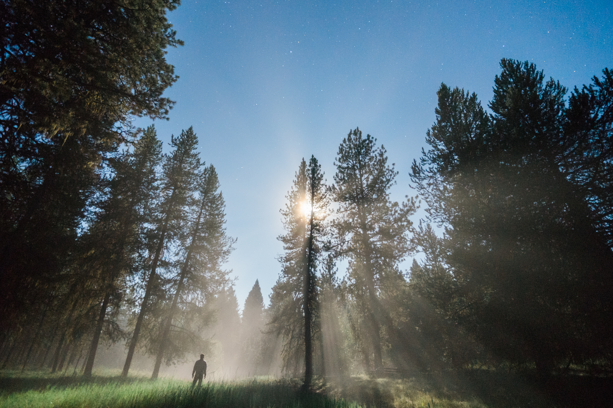 Sony Ziess 16-35mm f4 // oregon adventure photography // www.abbihearne.com