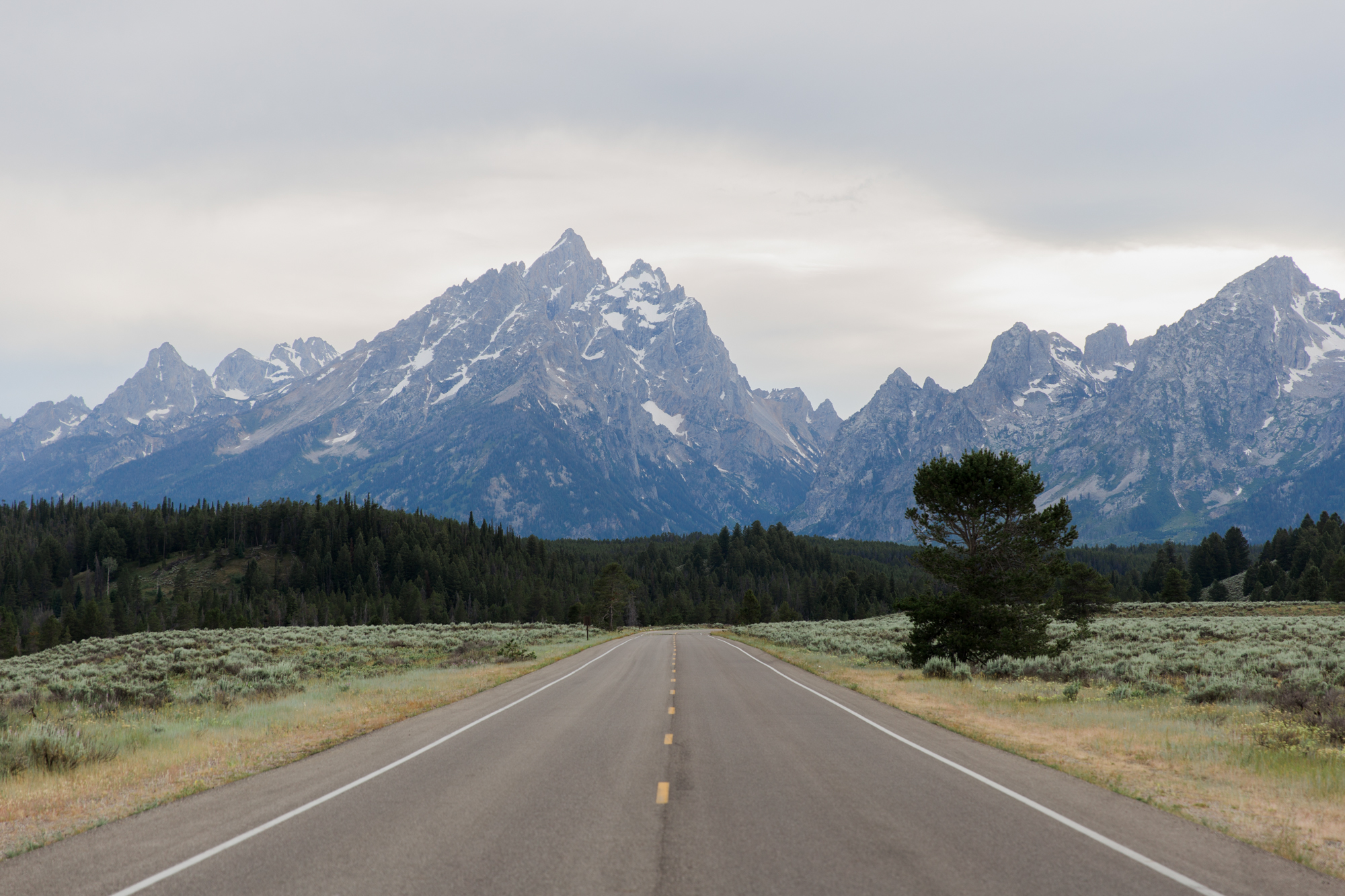 grand teton national park // roadtrip adventure // www.abbihearne.com