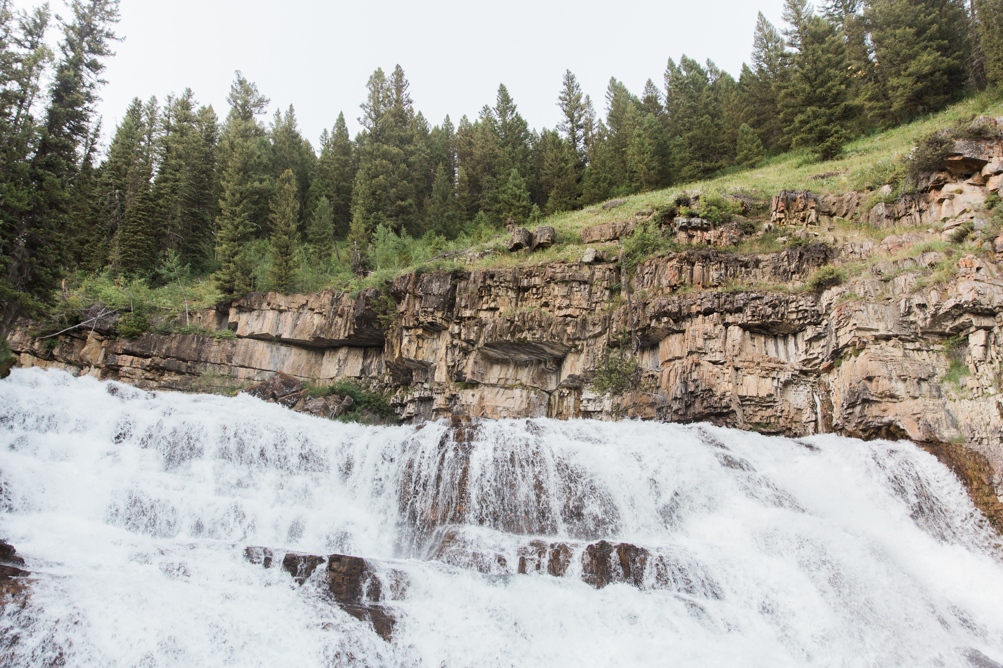 jackson hole, wyoming // roadtrip adventure // www.abbihearne.com