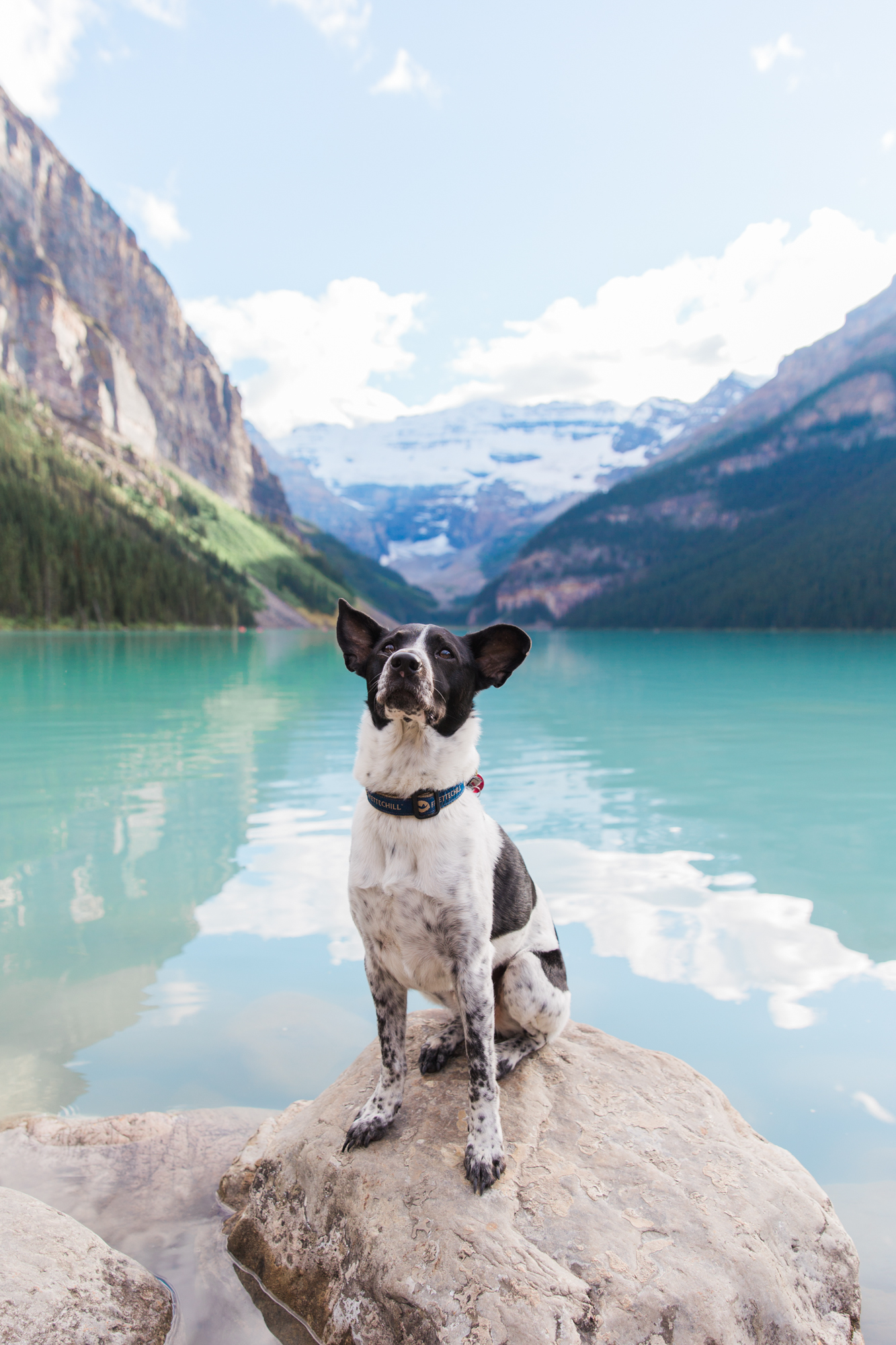 banff national park // www.abbihearne.com // adventure lifestyle photography