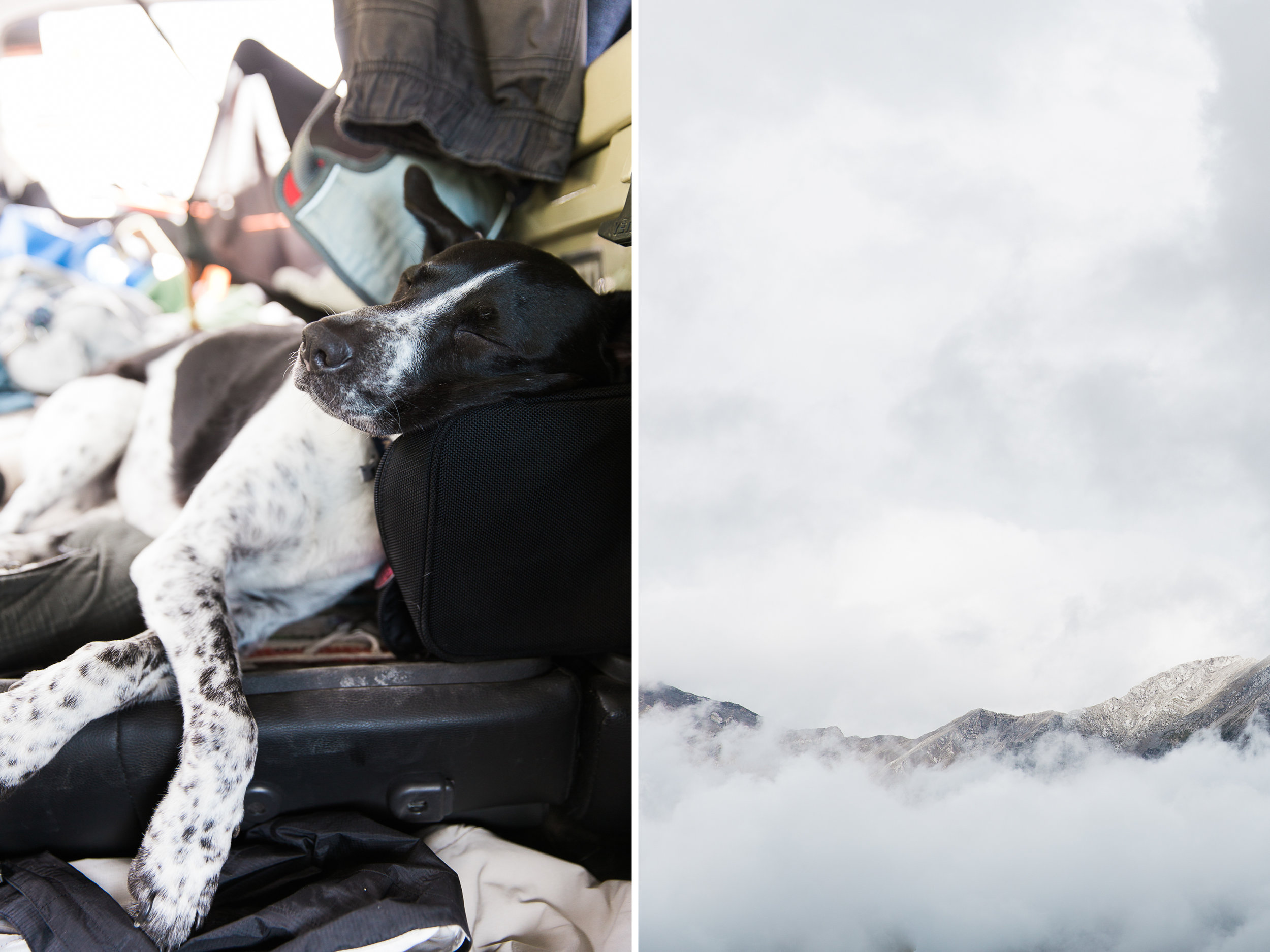 waterton lakes national park // www.abbihearne.com // adventure lifestyle photography