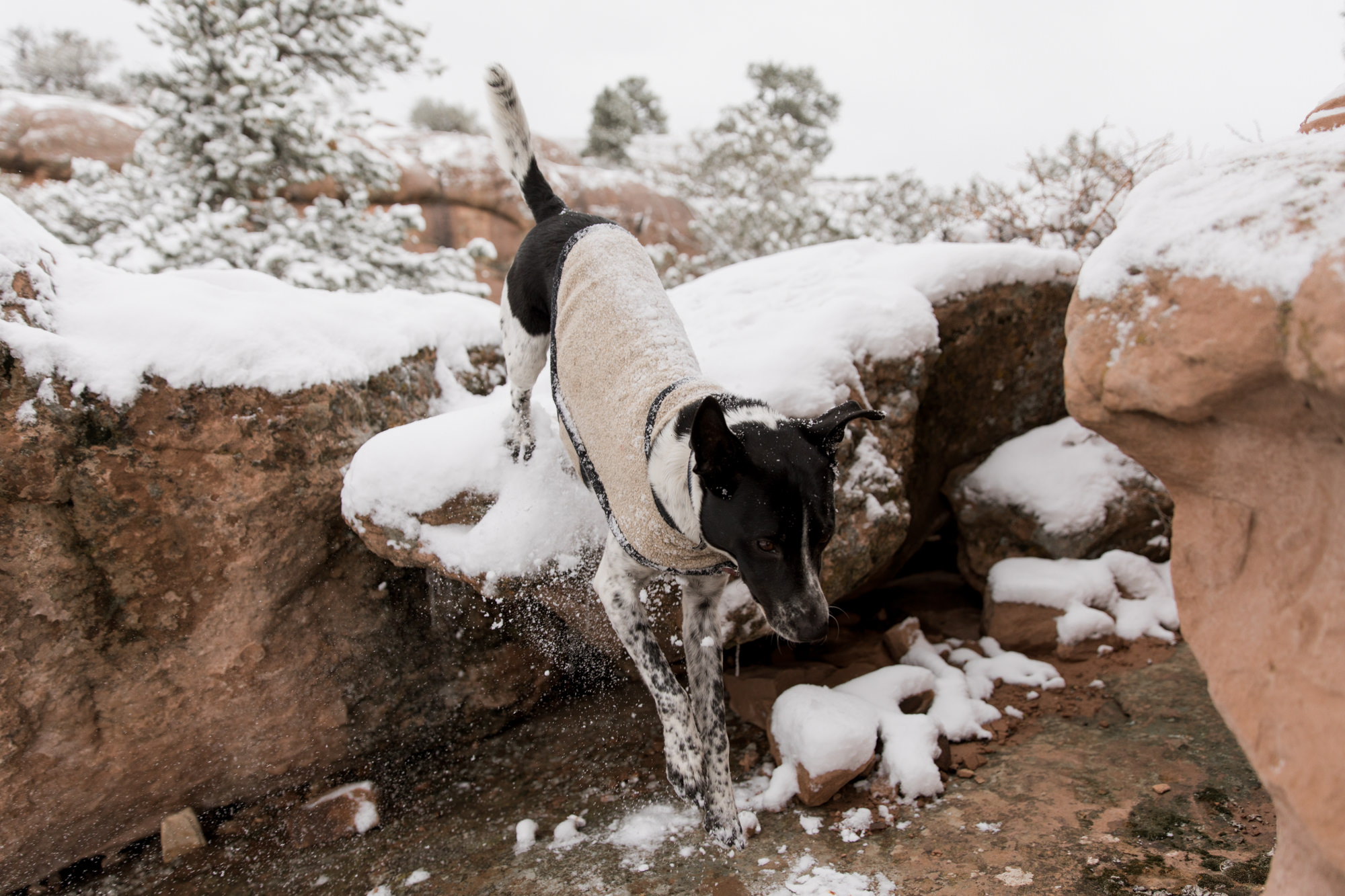 Moab-utah-adventure-10.jpg