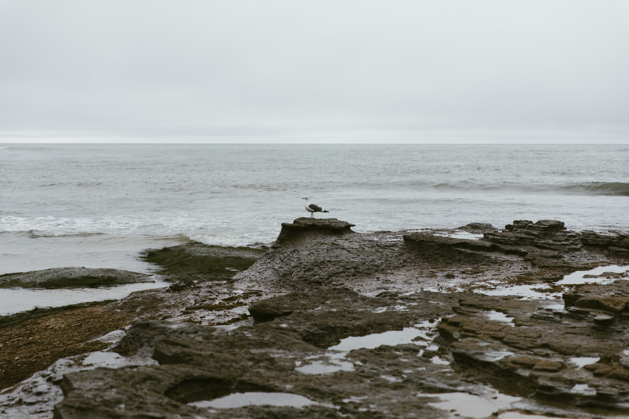 exploring san diego // southern california adventure photographer // www.abbihearne.com