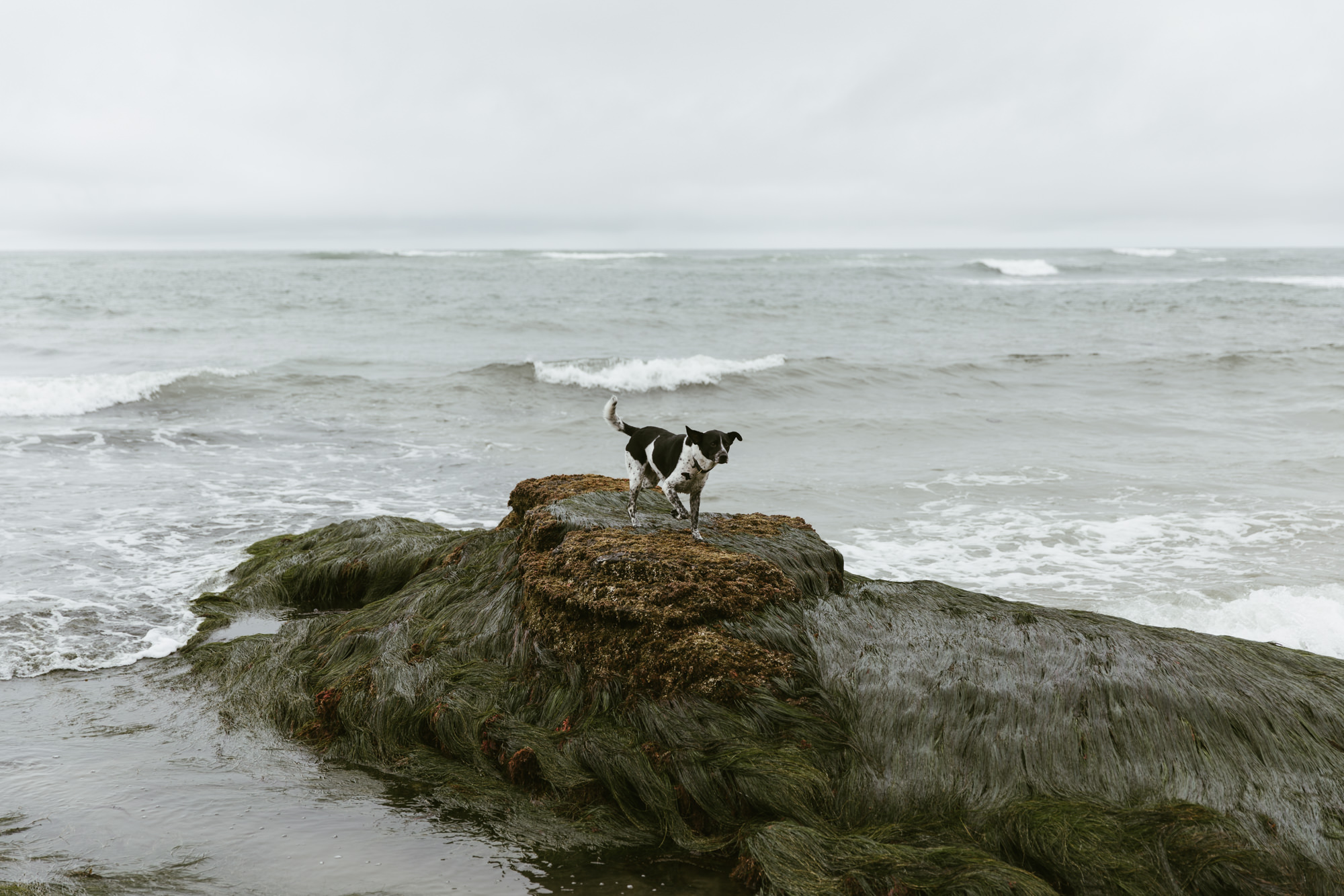exploring san diego // southern california adventure photographer // www.abbihearne.com