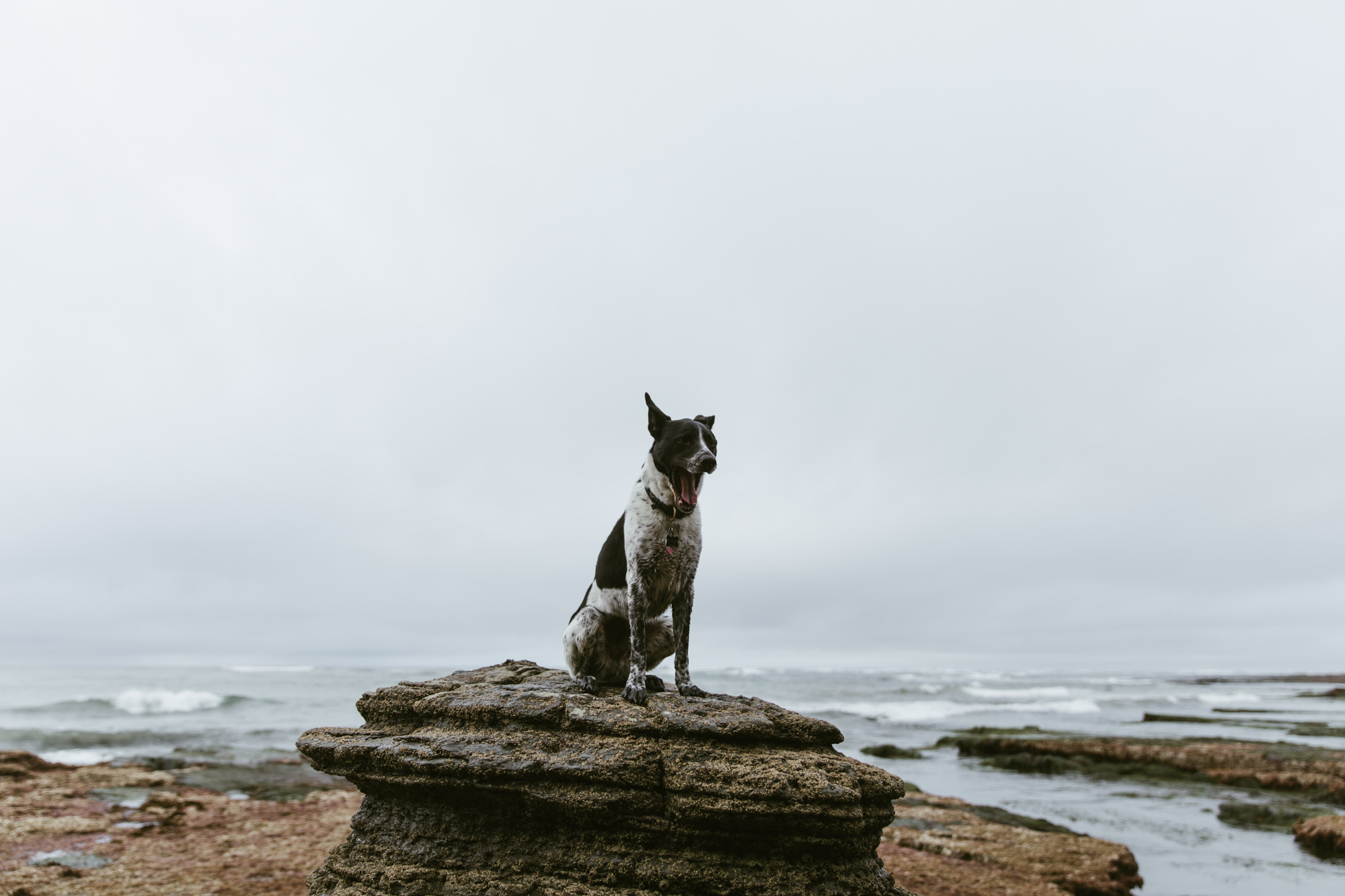 exploring san diego // southern california adventure photographer // www.abbihearne.com
