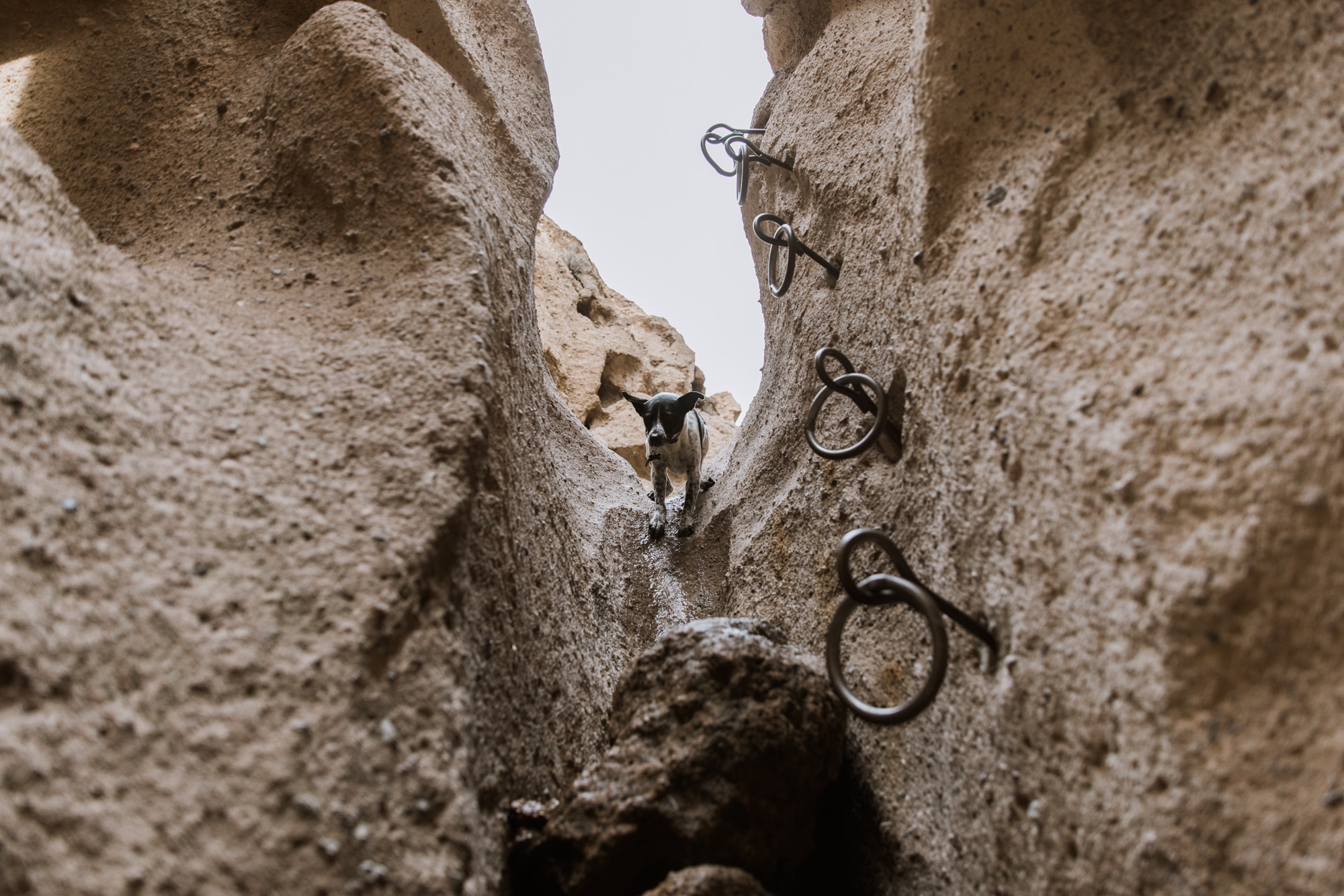 exploring mojave desert national preserve in california // adventure photographer // www.abbihearne.com