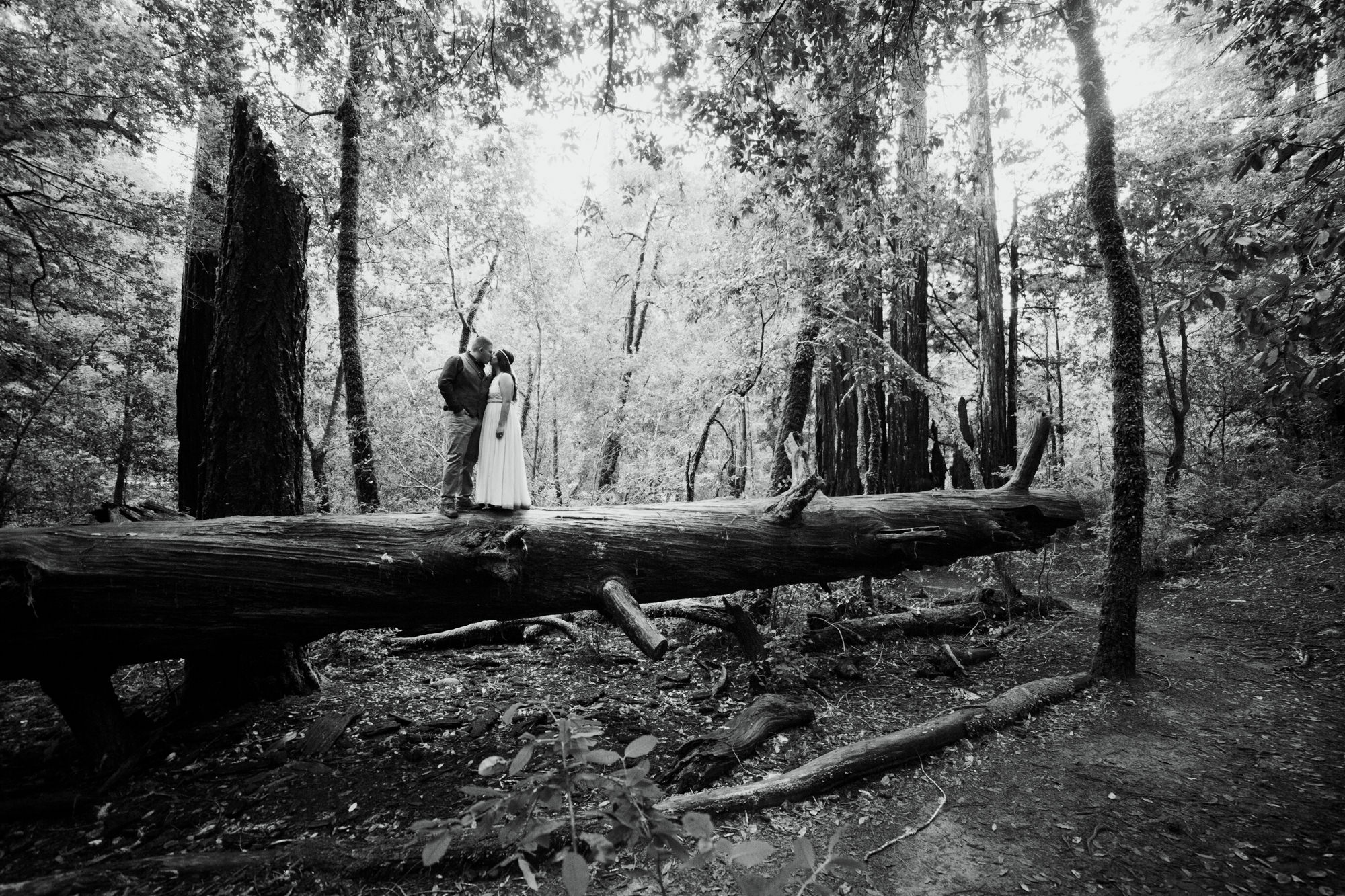 california redwood forest elopement // adventure wedding photographer // boho free people bride // www.abbihearne.com