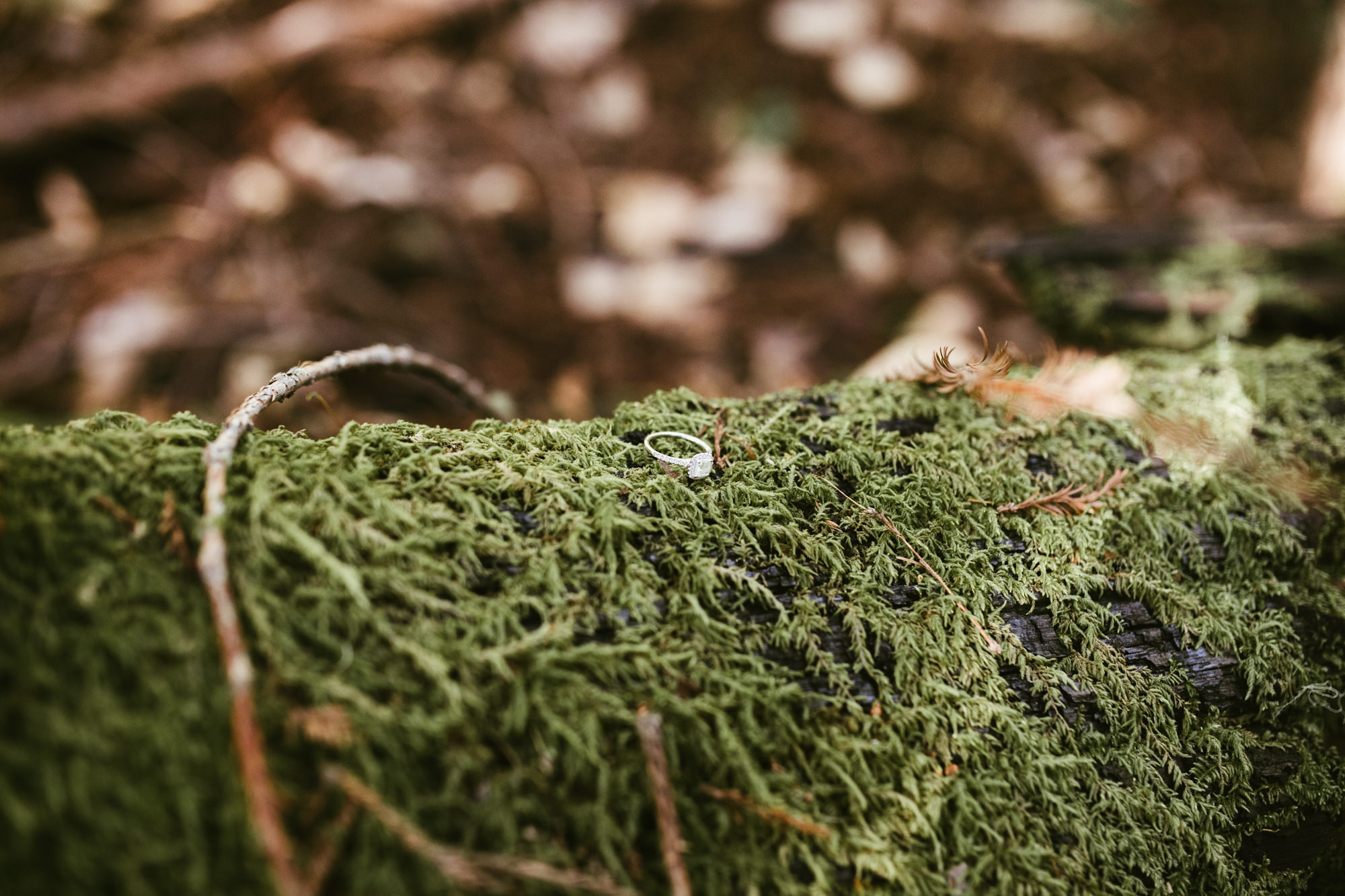 california redwood forest elopement // adventure wedding photographer // boho free people bride // www.abbihearne.com