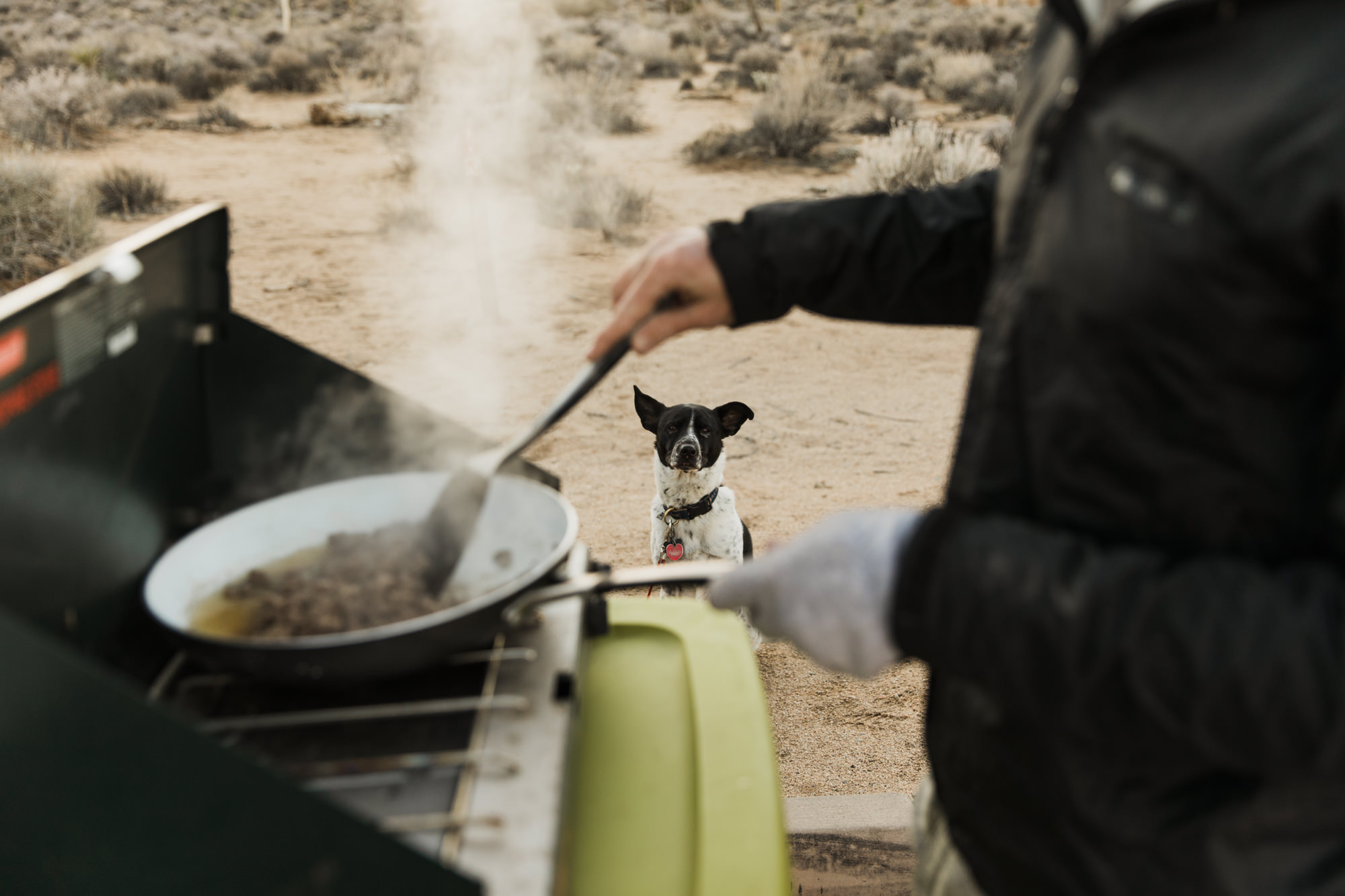 exploring joshua tree national park // www.abbihearne.com