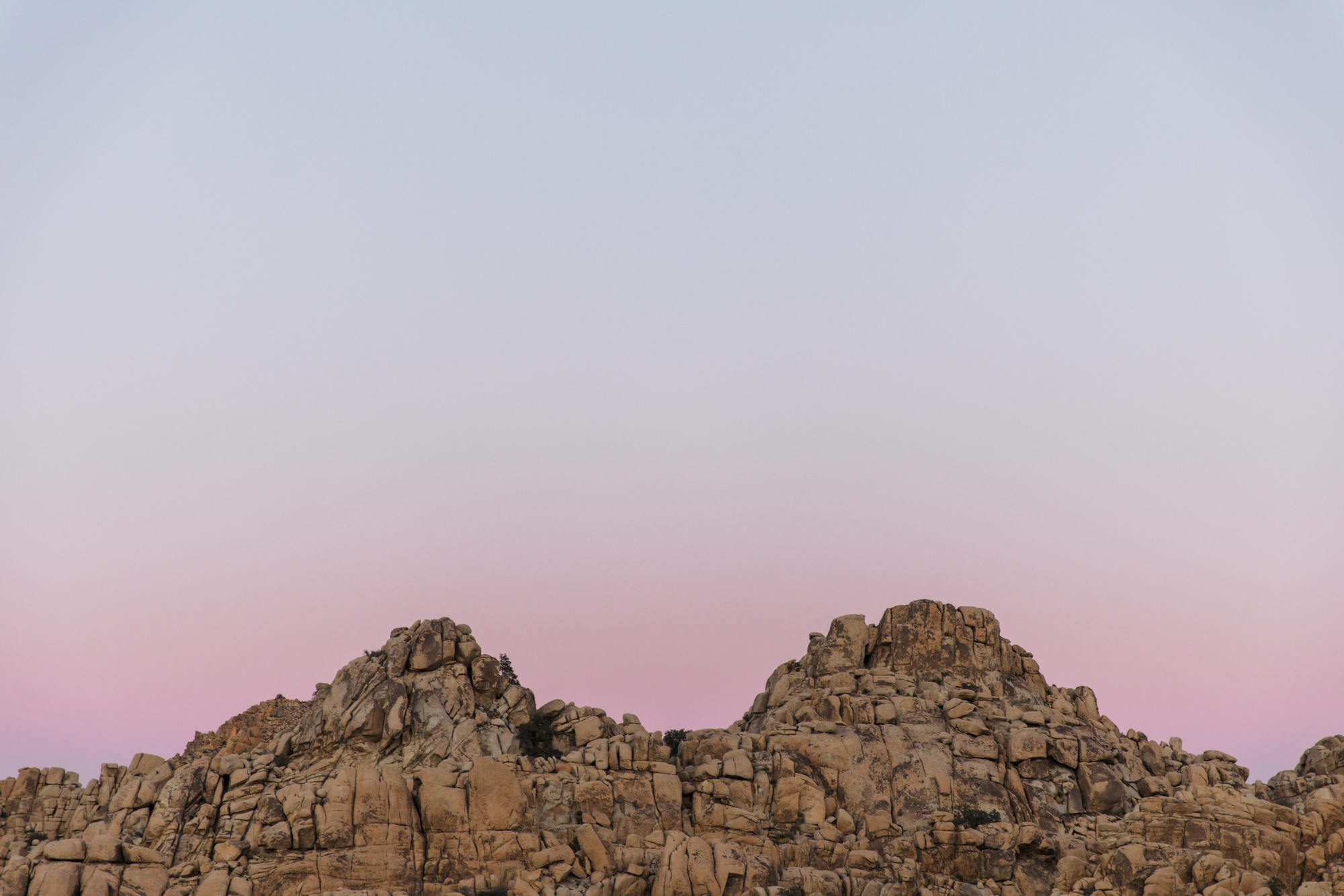 exploring joshua tree national park // www.abbihearne.com