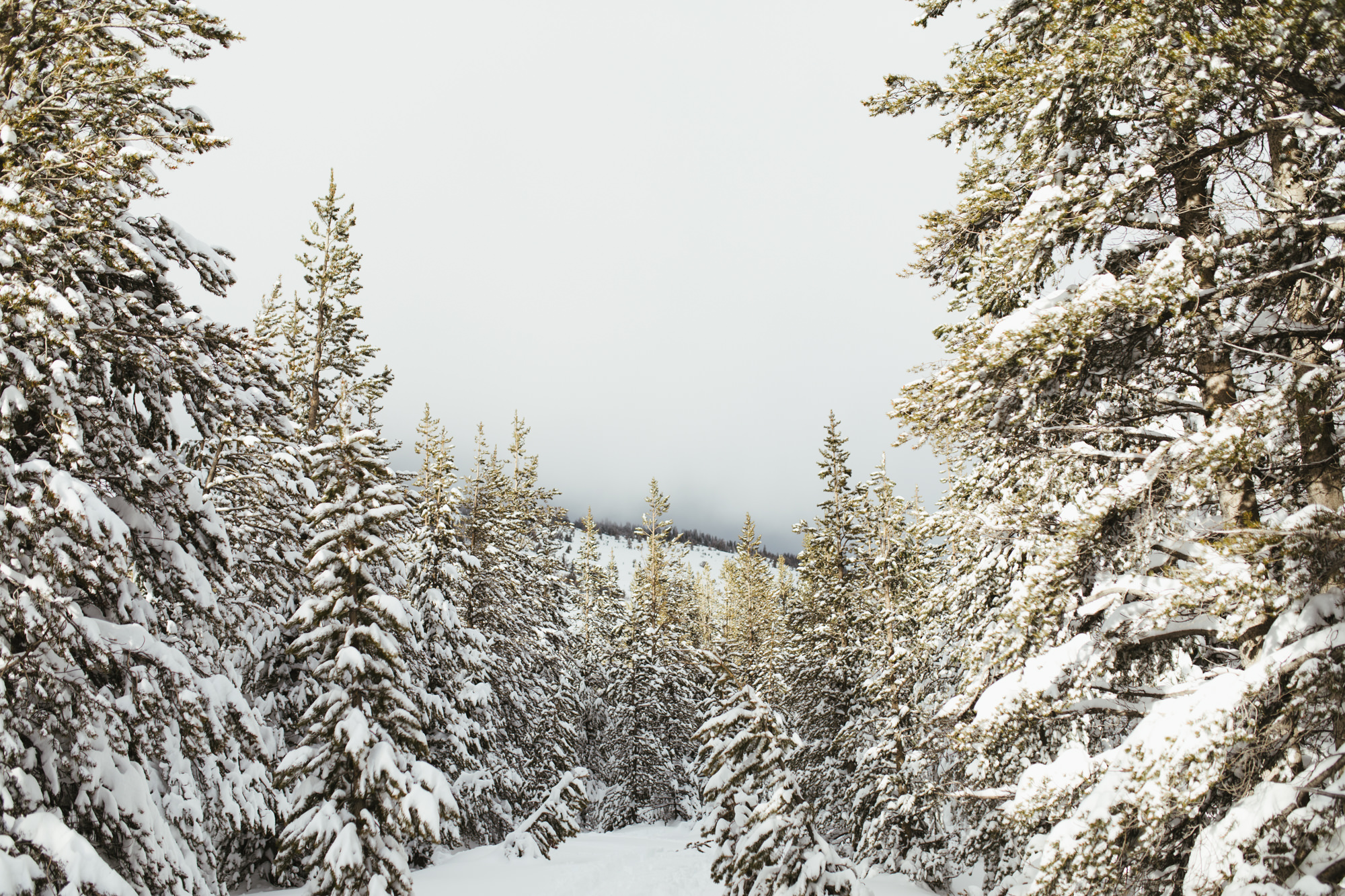 snowy lake tahoe engagement photos // california wedding photographer // www.abbihearne.com