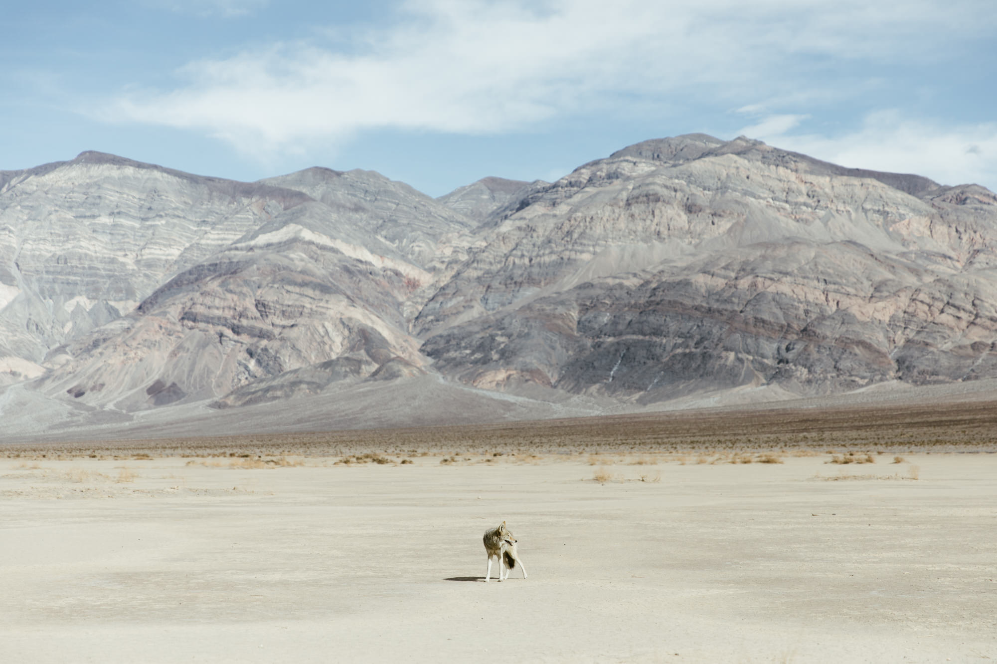 exploring the eastern sierras // lone pine, california // www.abbihearne.com