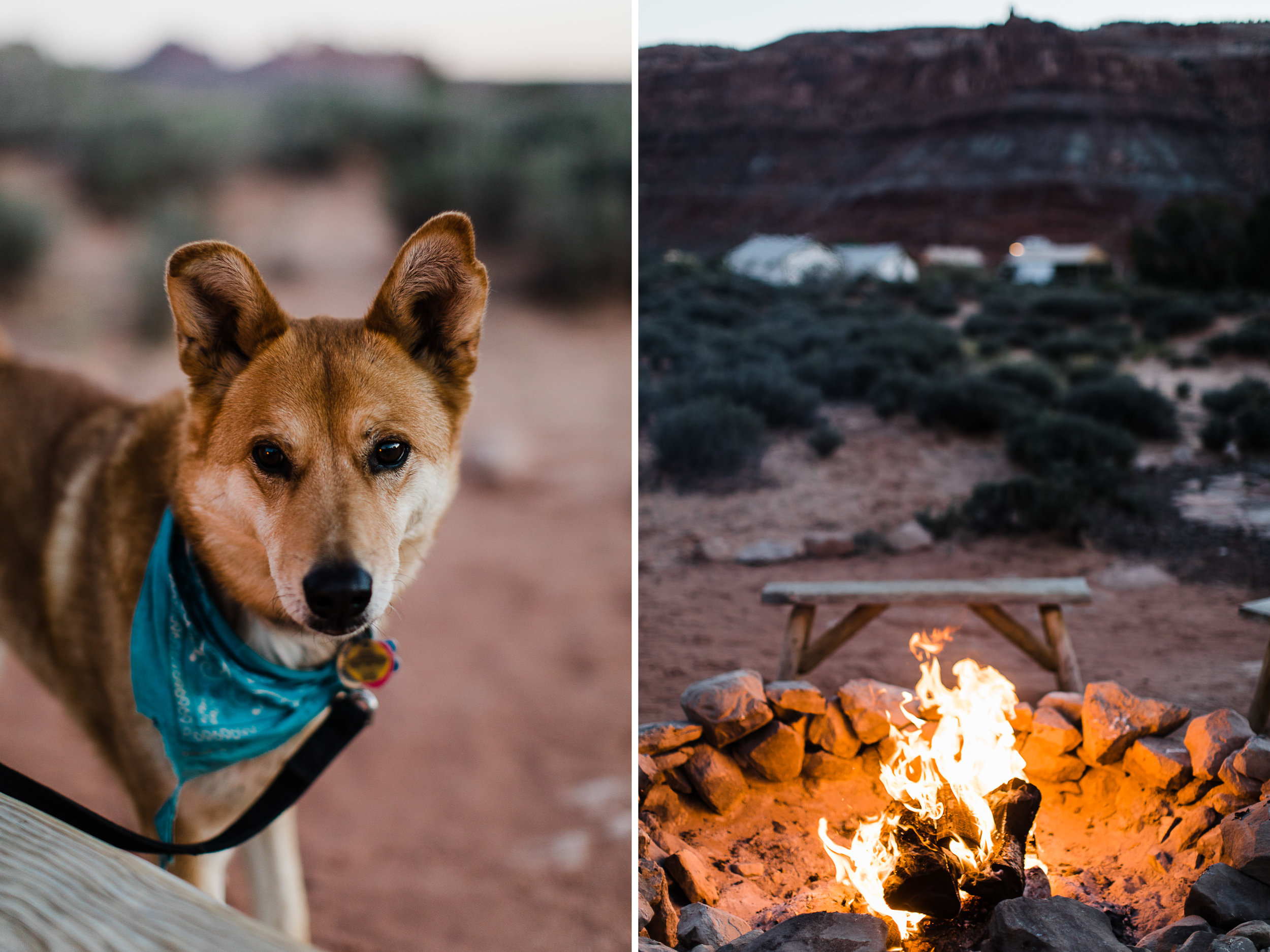 desert wedding inspiration | canyonlands national park | under canvas moab | utah adventure wedding photographer | www.thehearnes.com