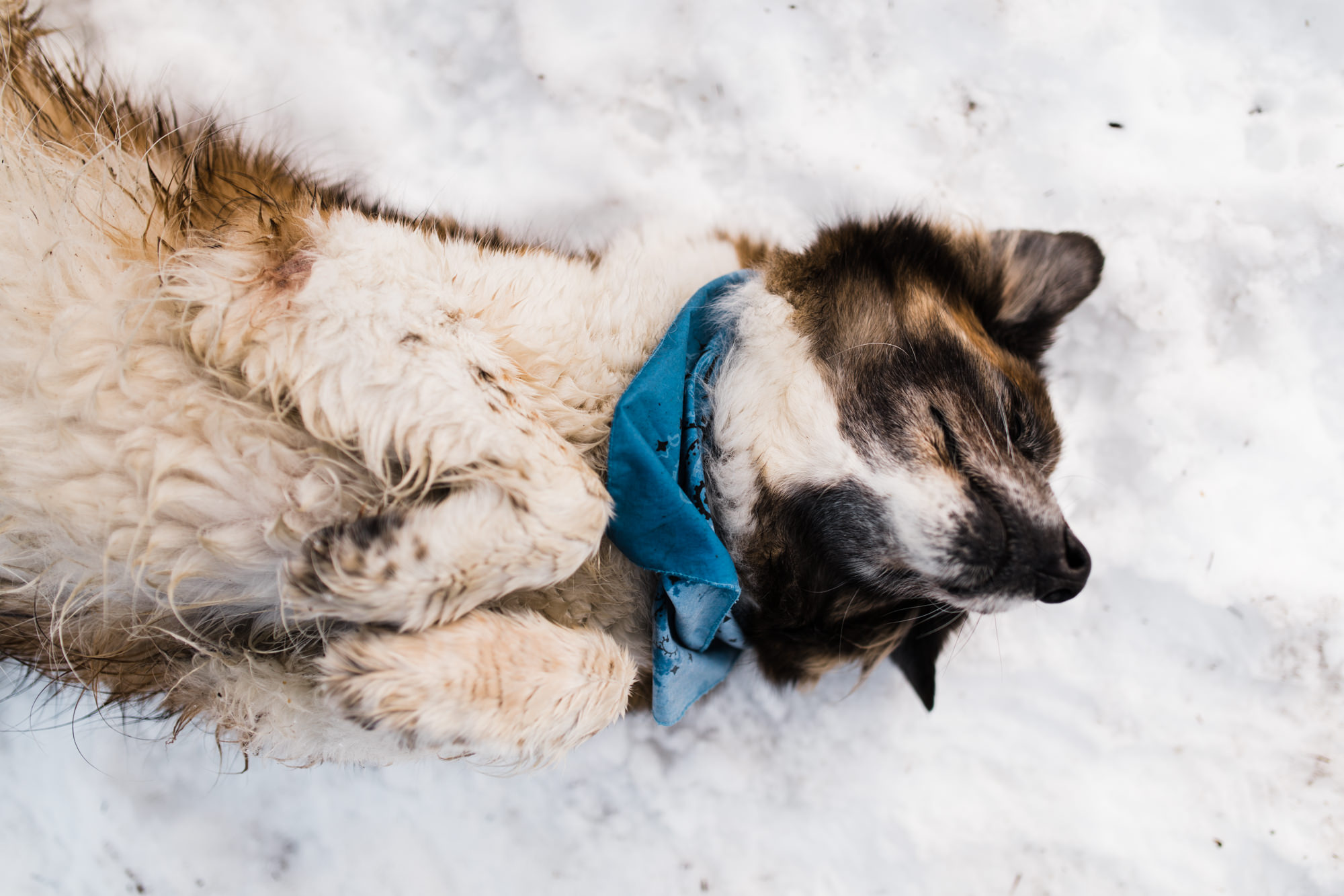 Lindsay + Heath | Mt. Hood National Forest Engagement Session | Portland, Oregon Adventure Wedding Photographer | Snowy Adventure in the Mountains | www.thehearnes.com