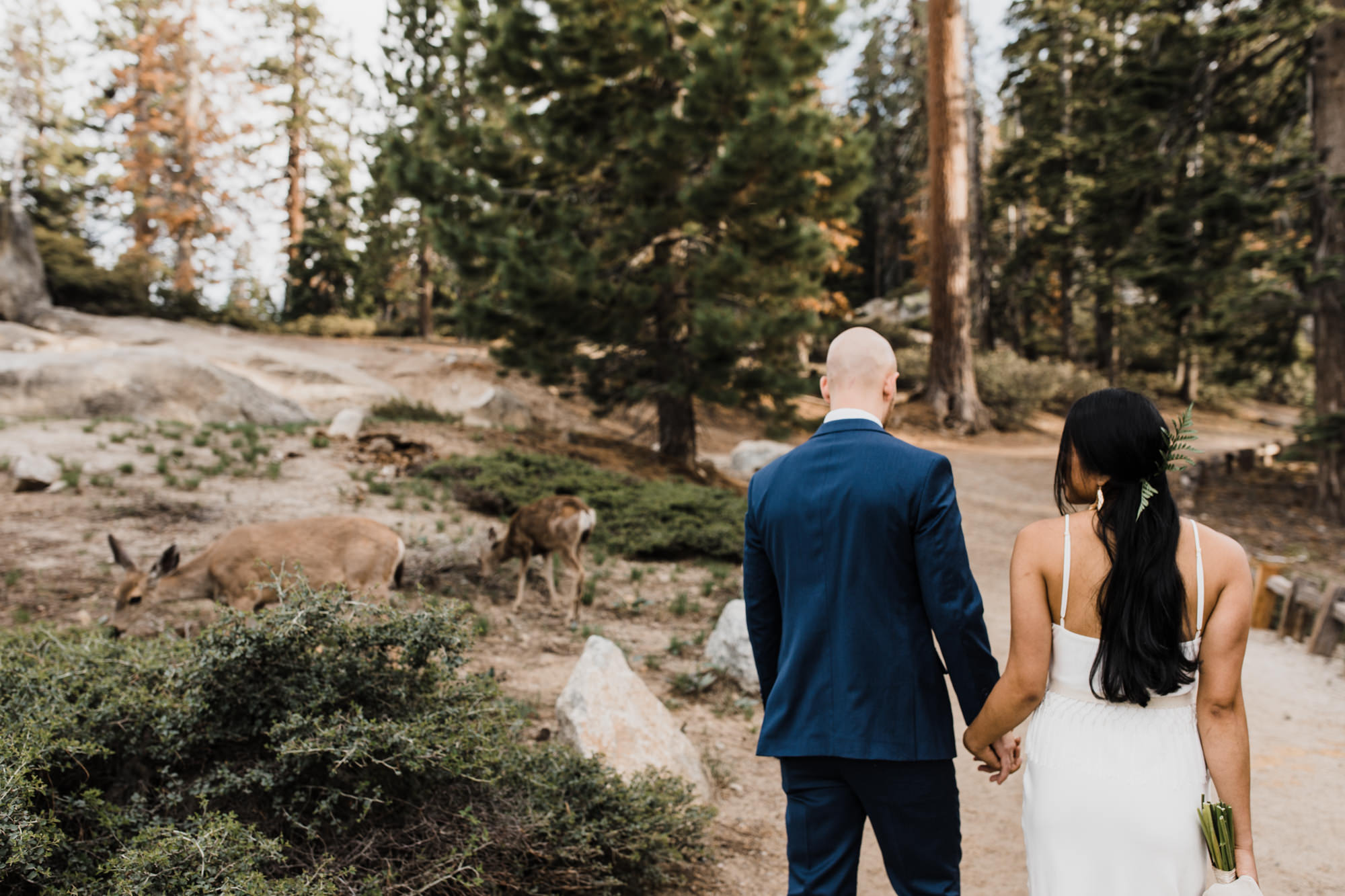 Intimate wedding in Yosemite national park | Glacier Point First look | Portraits at Taft Point | Traveling adventure elopement photographer