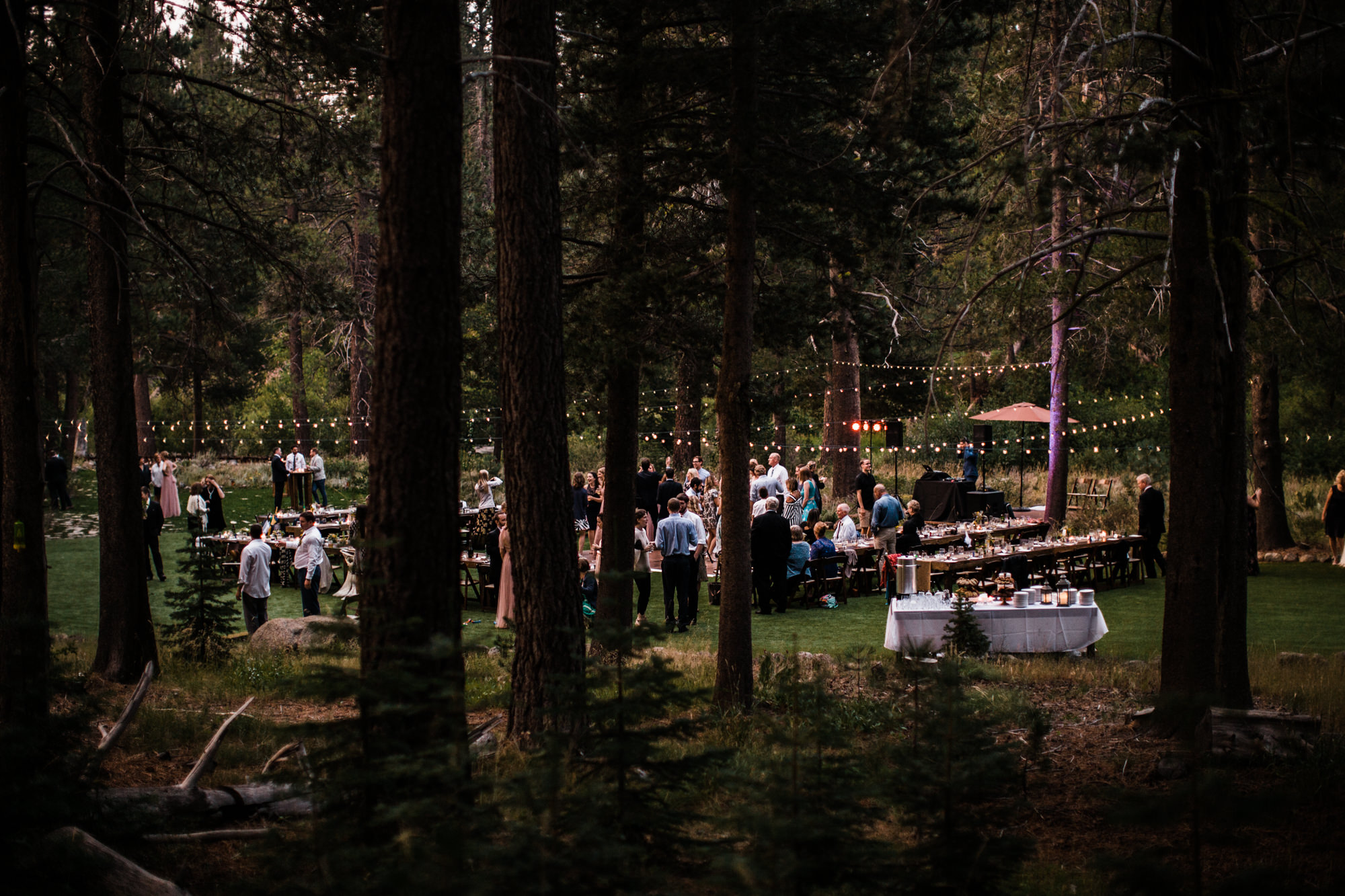 megan + zach's adventurous woodland wedding in truckee, california | romantic rainy wedding day inspiration | lake tahoe wedding photographer | www.thehearnes.com