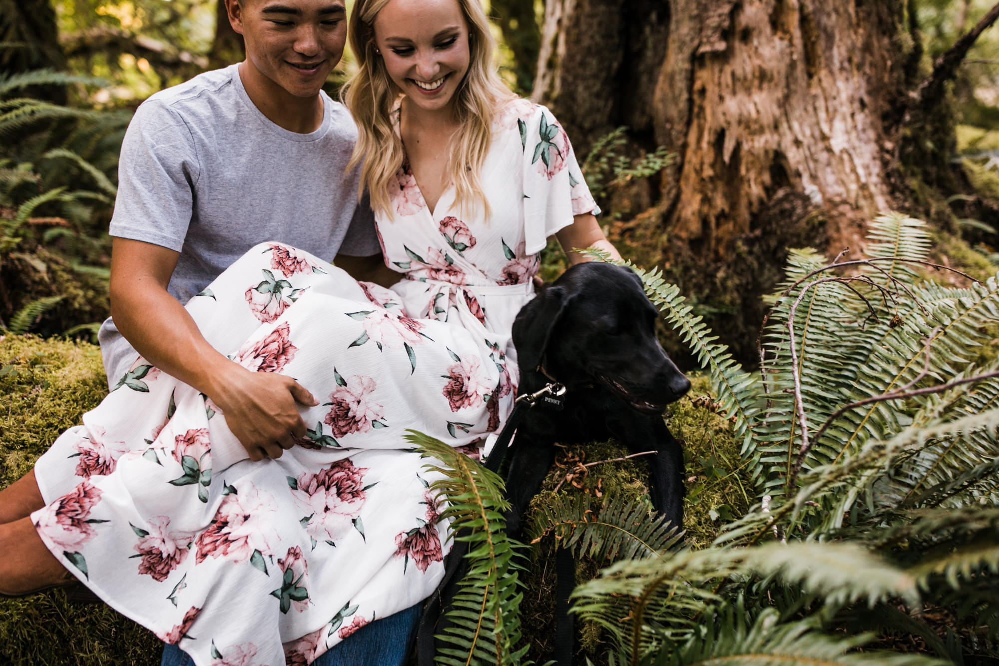 morgan + alex's engagement session in olympic national park | hoh rainforest campsite session | washington adventure wedding photographer