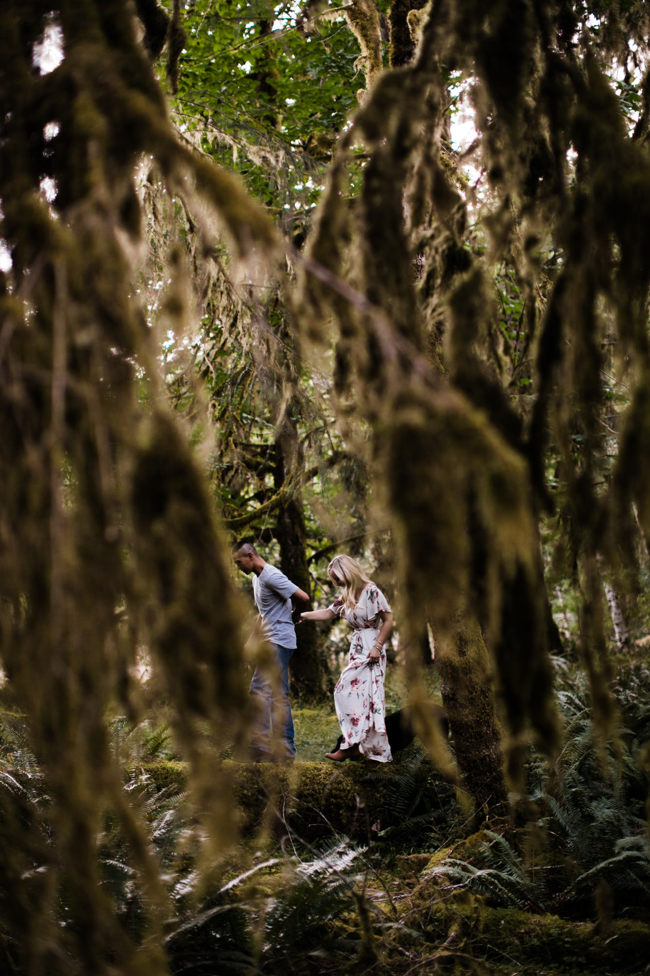 morgan + alex's engagement session in olympic national park | hoh rainforest campsite session | washington adventure wedding photographer