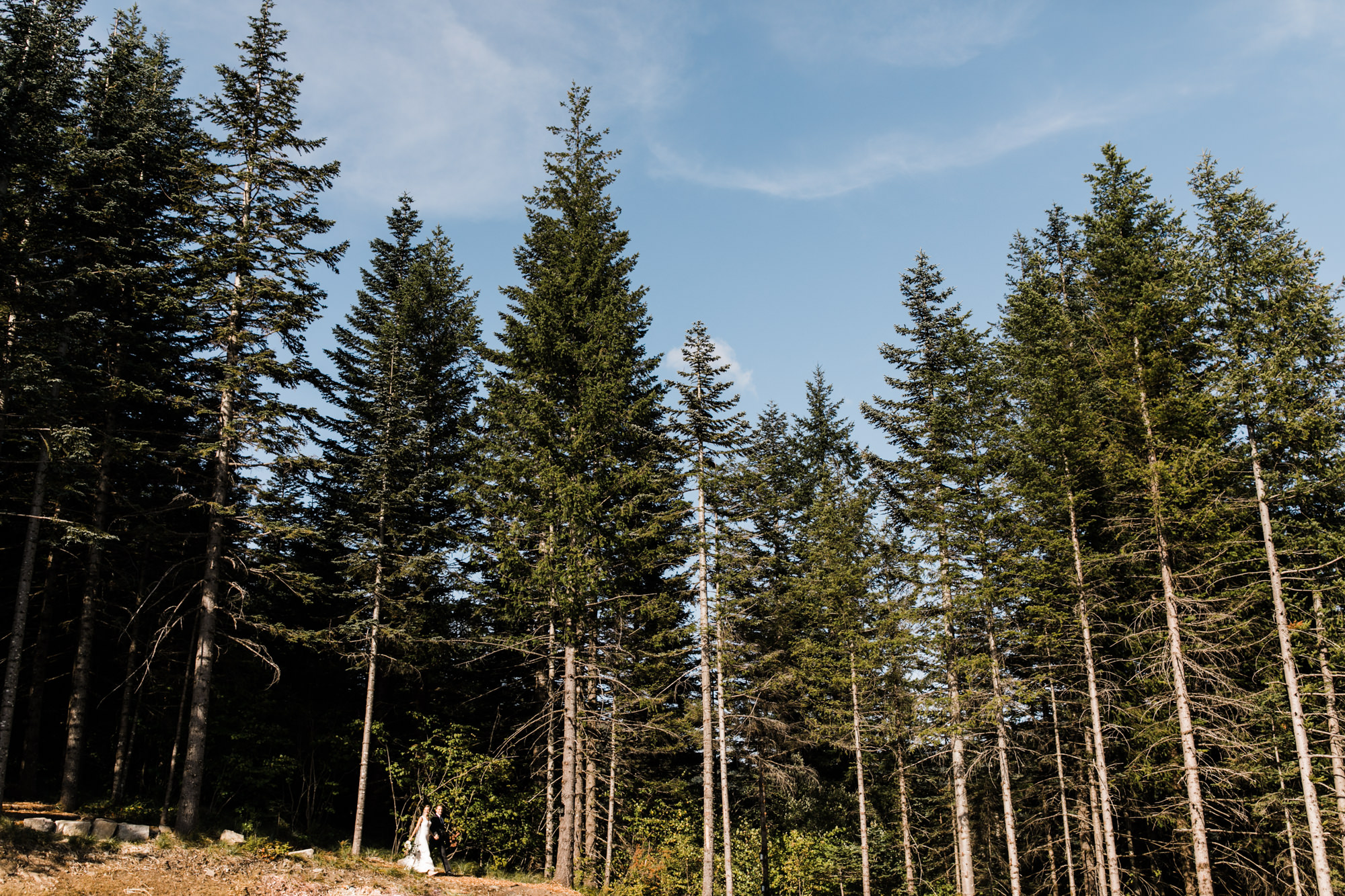 jena + kyler's treehouse wedding | outdoor reception under the stars | washington adventure wedding photographer | the hearnes adventure wedding photography | www.thehearnes.com