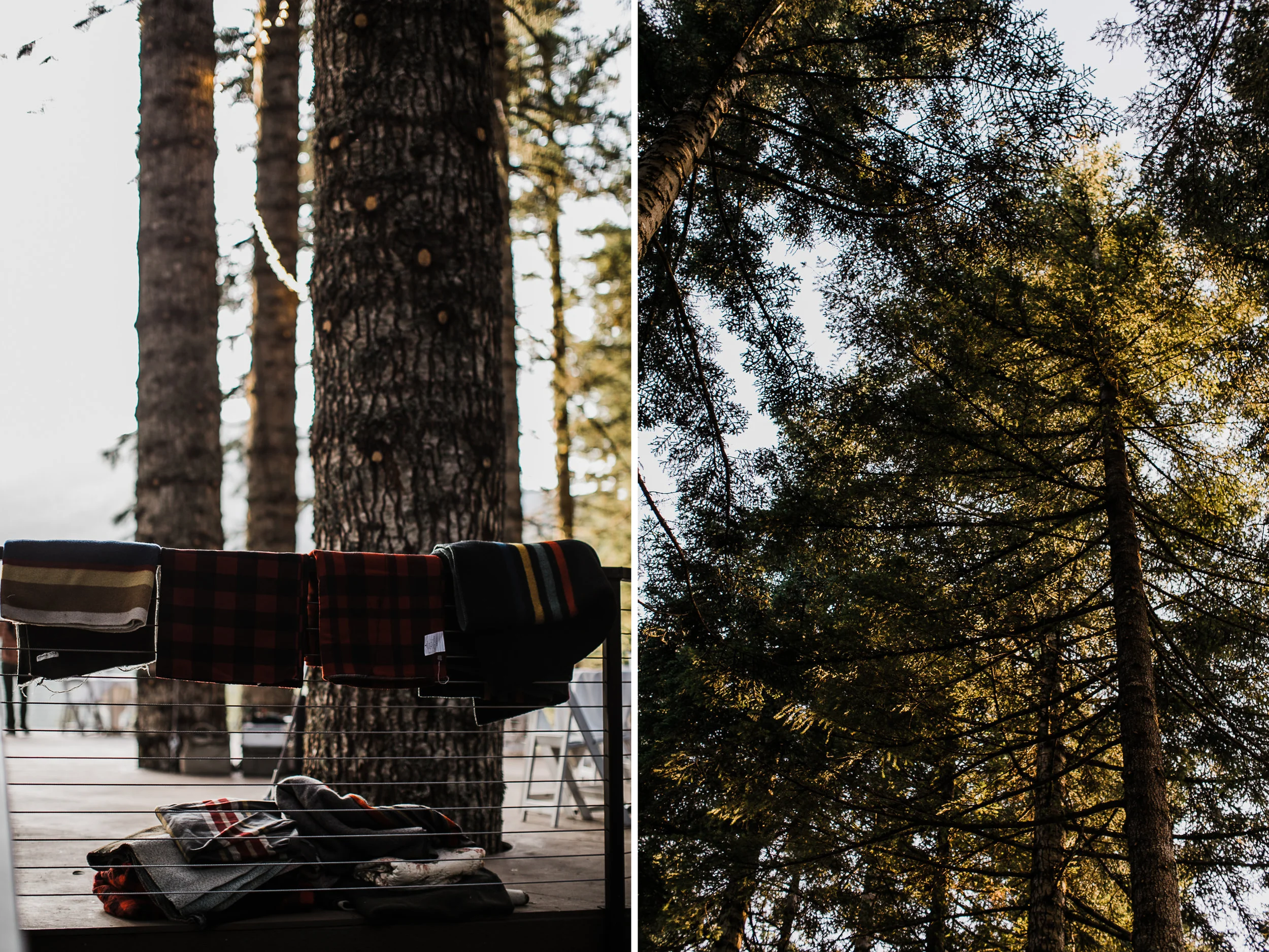 jena + kyler's treehouse wedding | outdoor reception under the stars | washington adventure wedding photographer | the hearnes adventure wedding photography | www.thehearnes.com