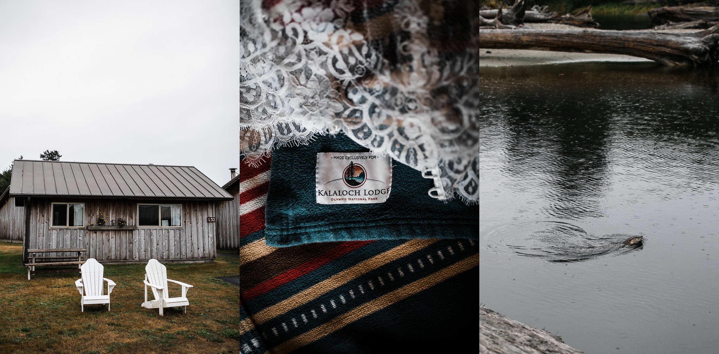 christina + dan's intimate wedding in olympic national park | kalaloch lodge + ruby beach elopement | washington wedding photographer | the hearnes adventure photography | www.thehearnes.com
