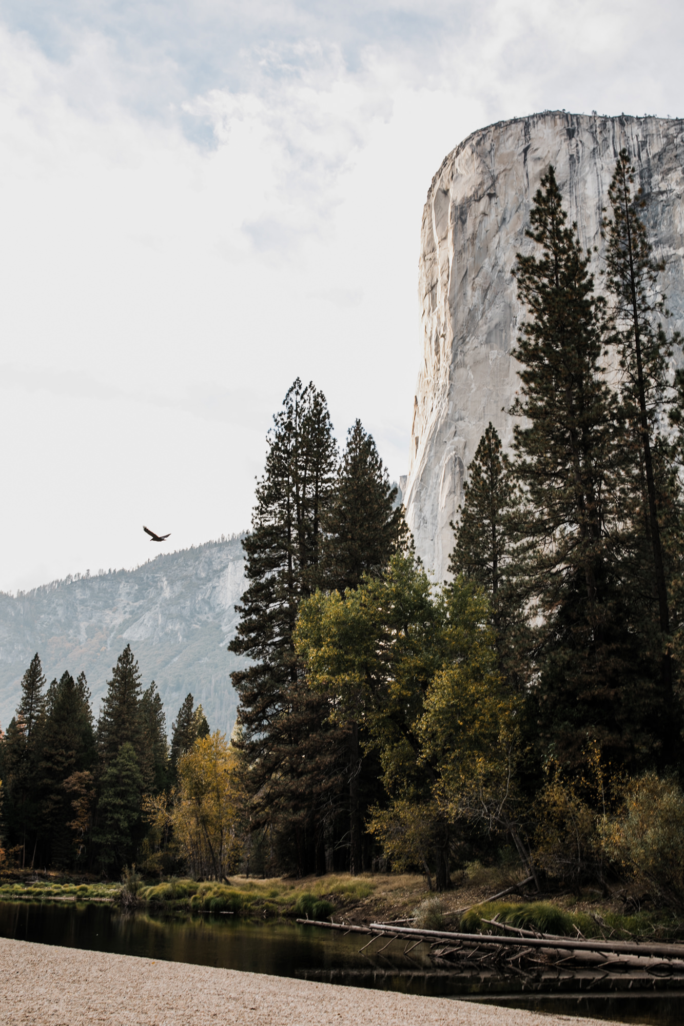 chris + jen's intimate yosemite wedding | yosemite adventure wedding photographer | the hearnes adventure photography | www.thehearnes.com