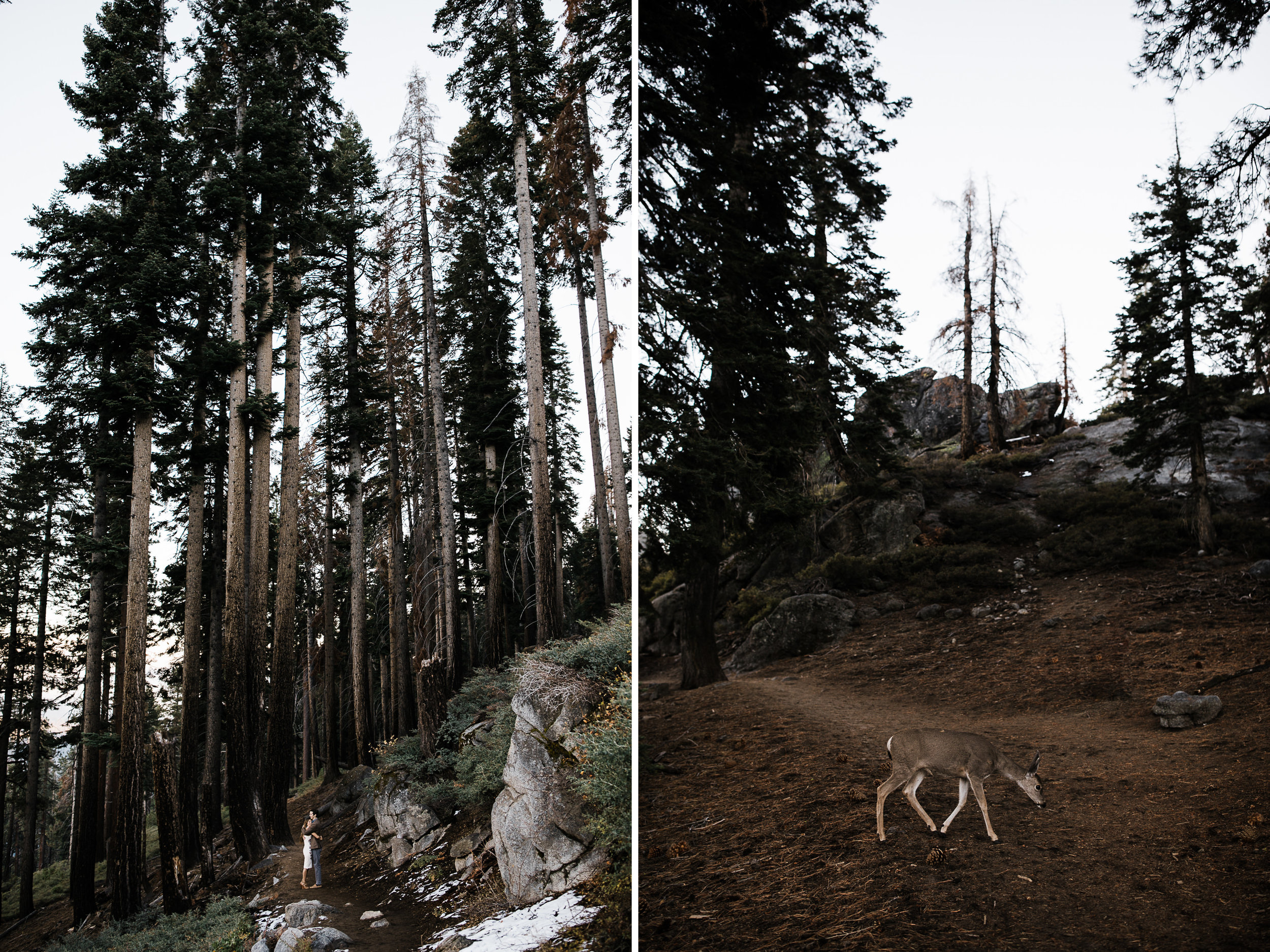 meng + matt's adventurous glacier point engagement session | yosemite national park | california adventure elopement photographer | the hearnes adventure photography | www.thehearnes.com