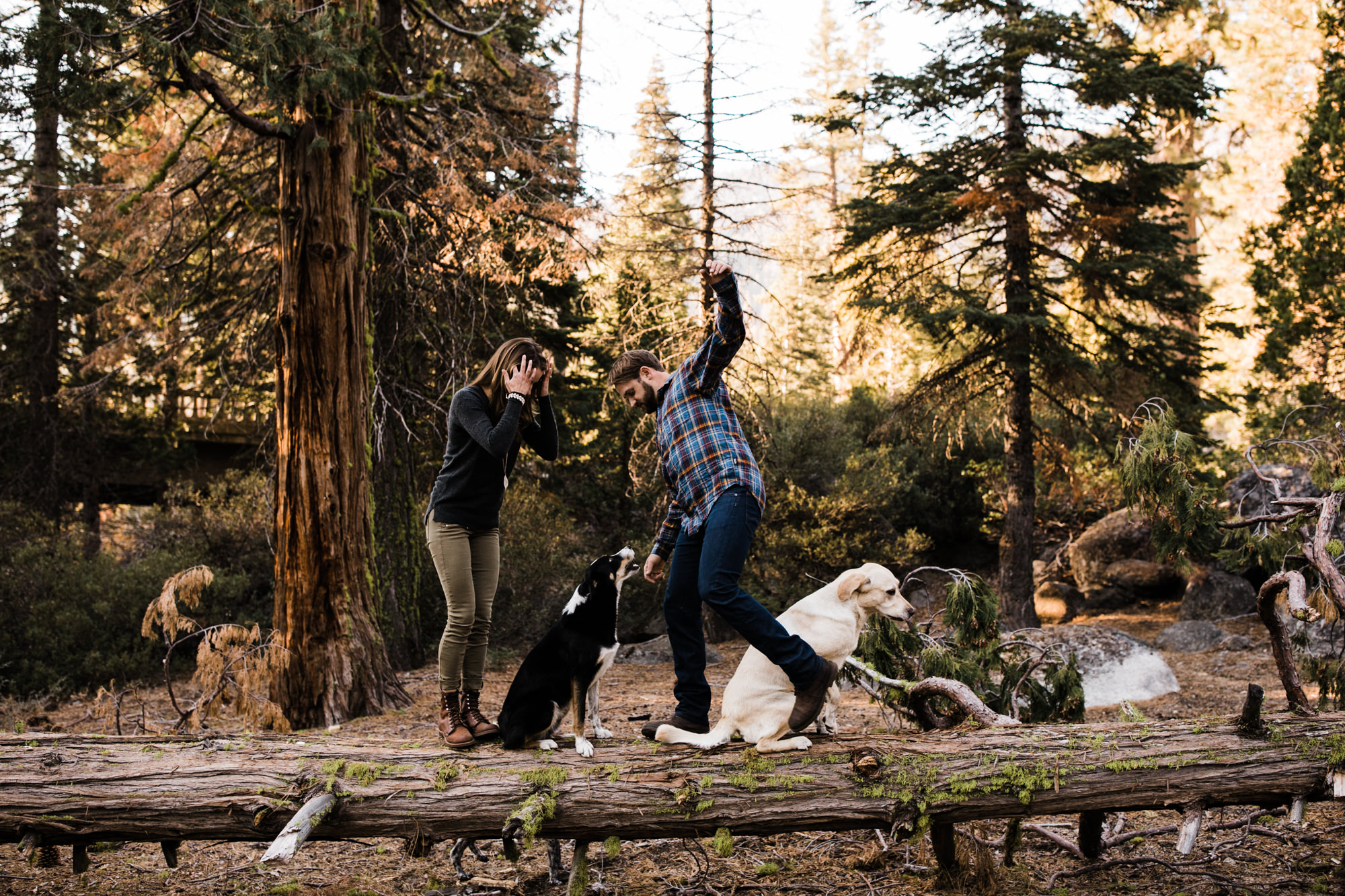 lauren + nick's adventurous national forest engagement session | california adventure elopement photographer | the hearnes adventure photography | www.thehearnes.com