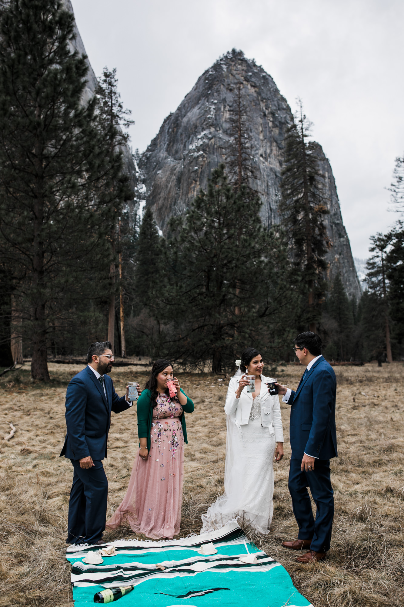 wedding picnic in yosemite national park