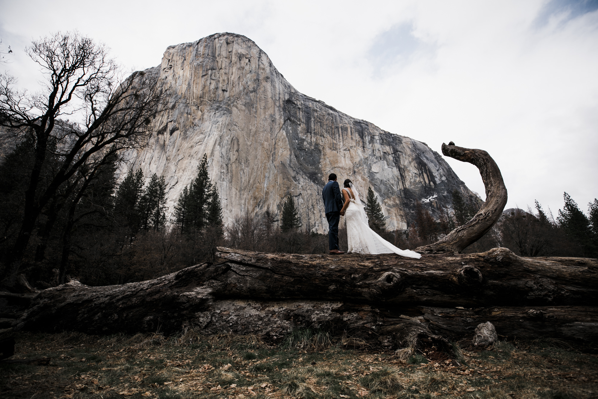 bride and groom in yosemite underneath el capitan on their wedding day