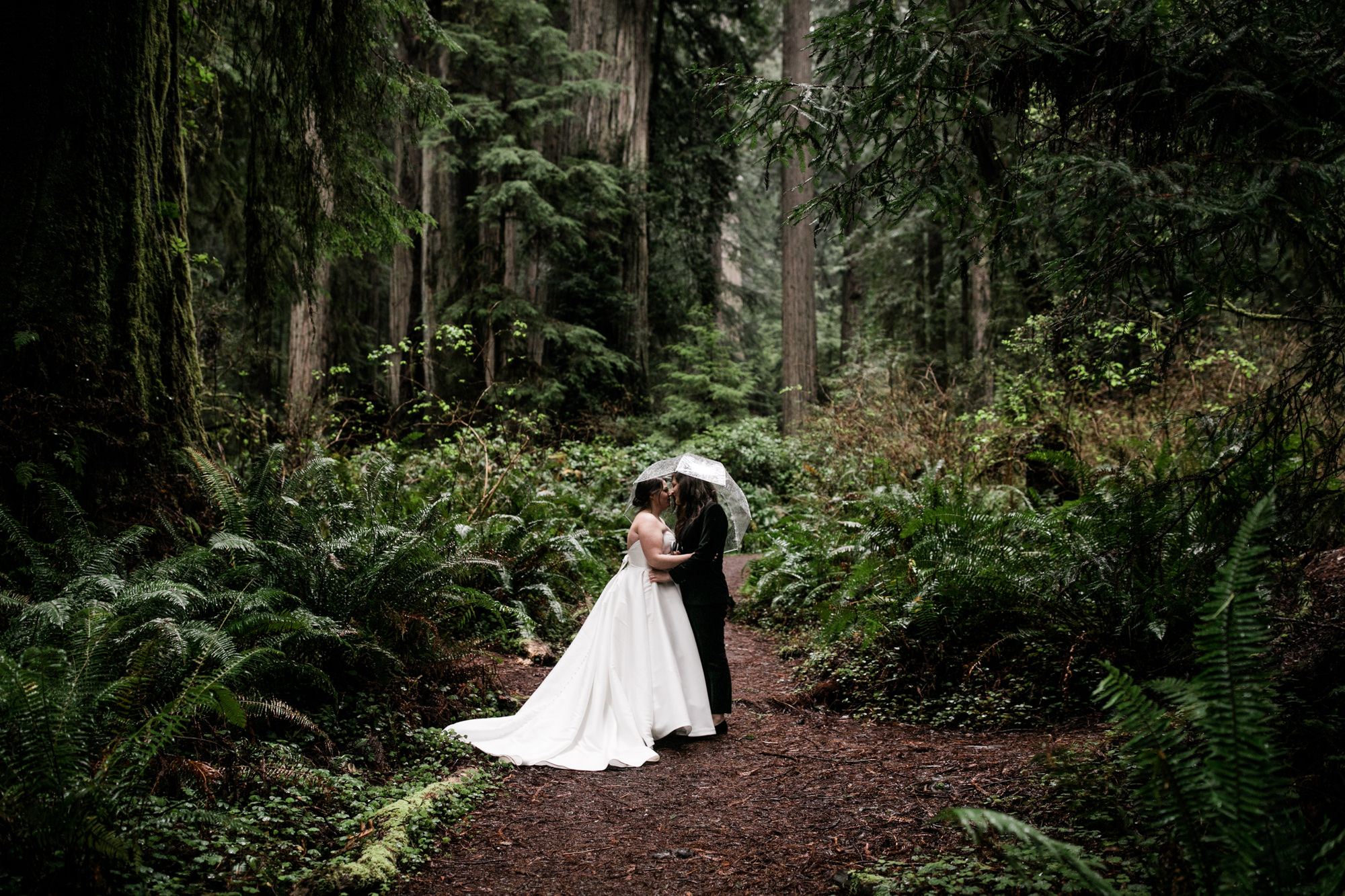 rainy elopement day in redwood national park