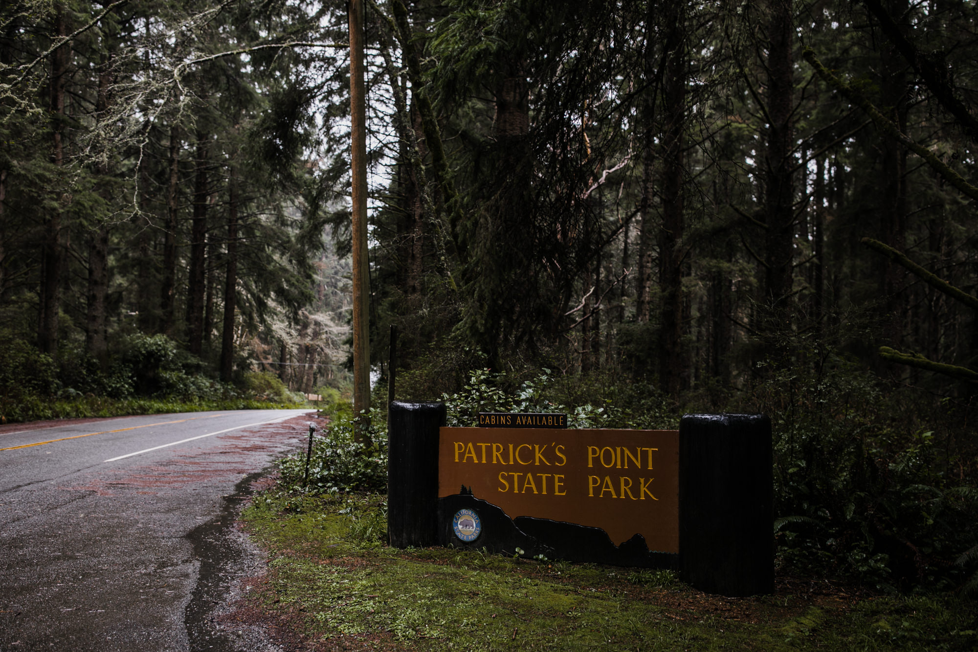 patrick's point state park wedding