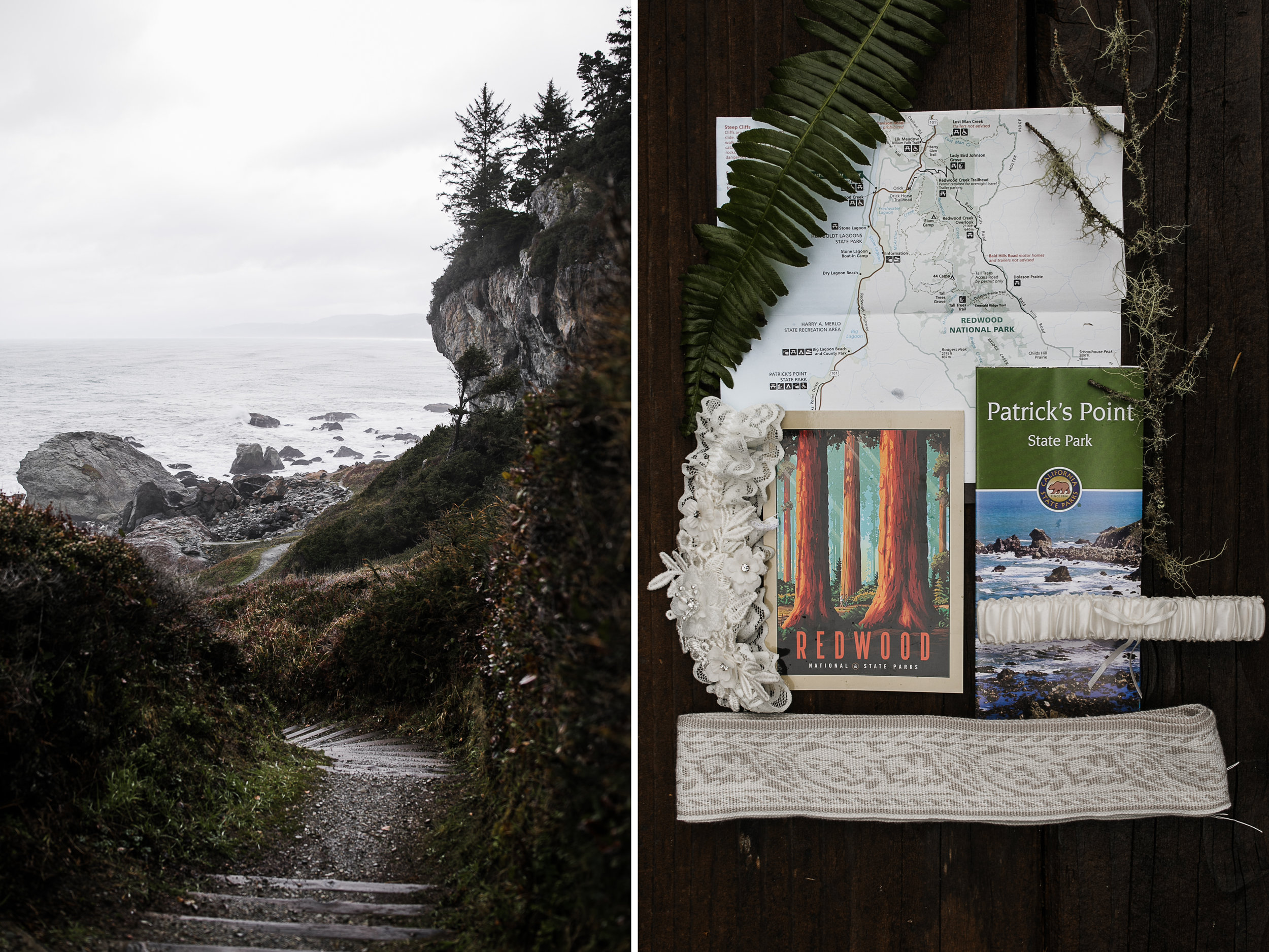 redwood forest elopement