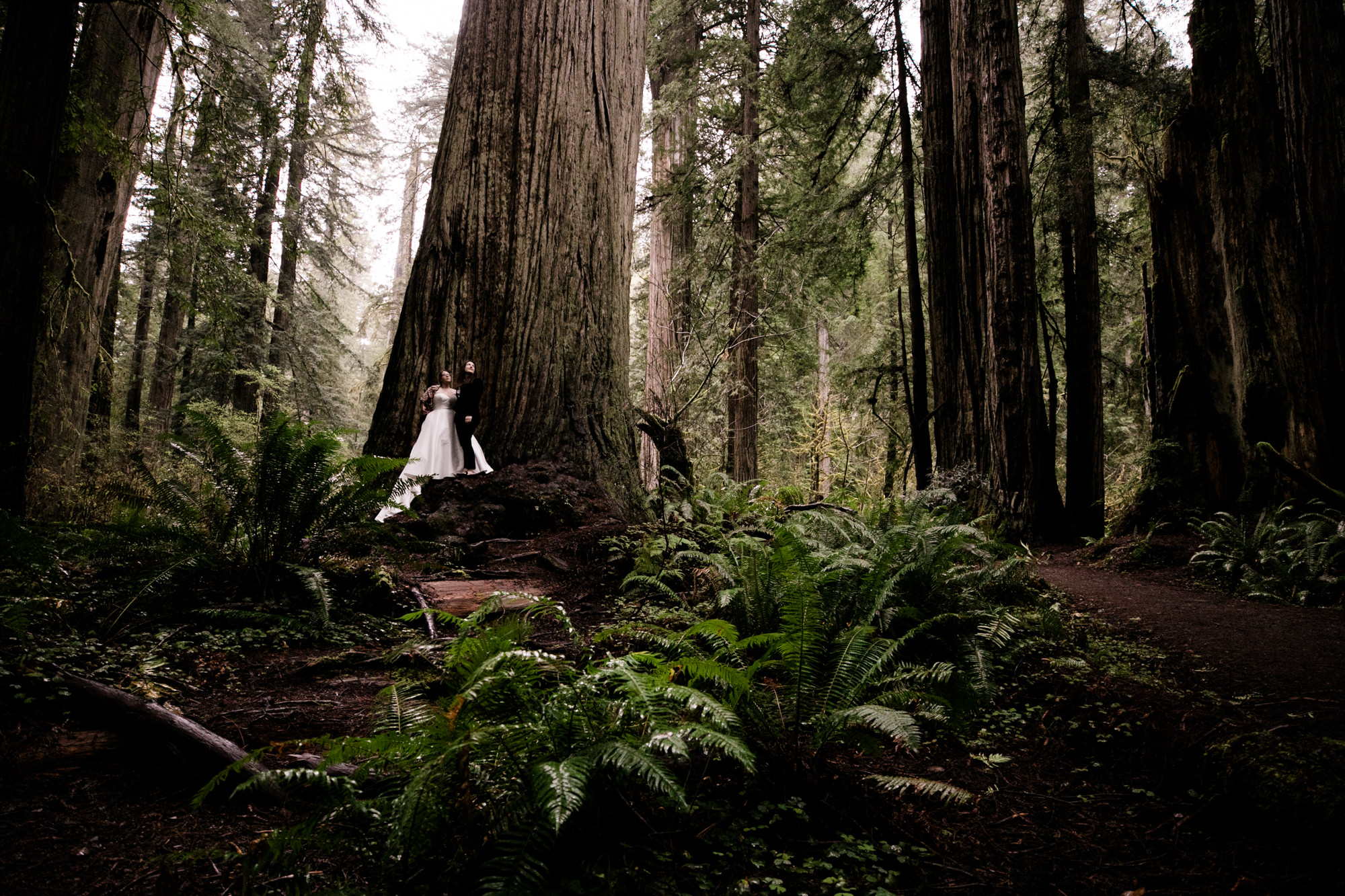 adventure wedding in northern california 