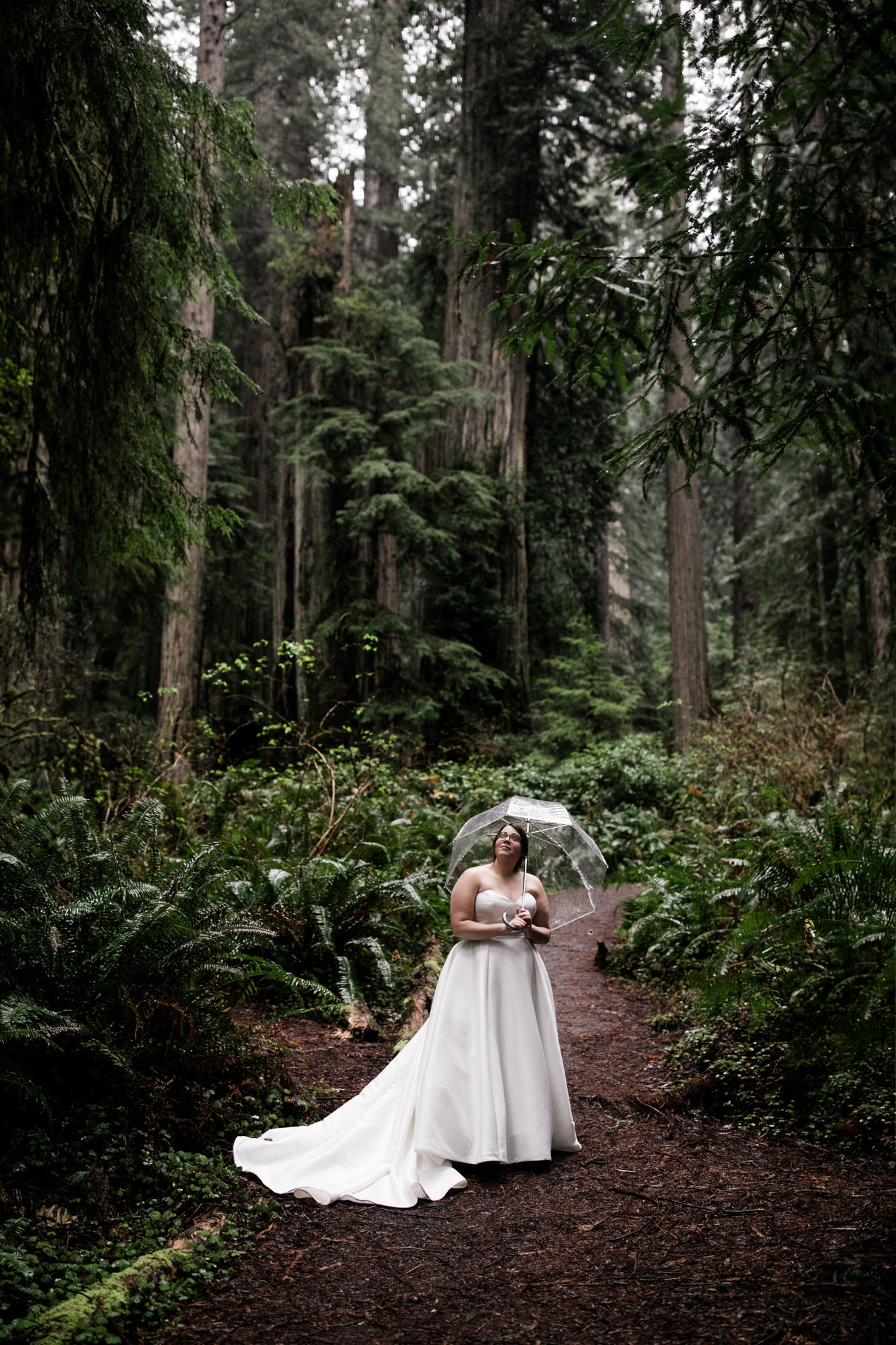 elopement in redwood national park