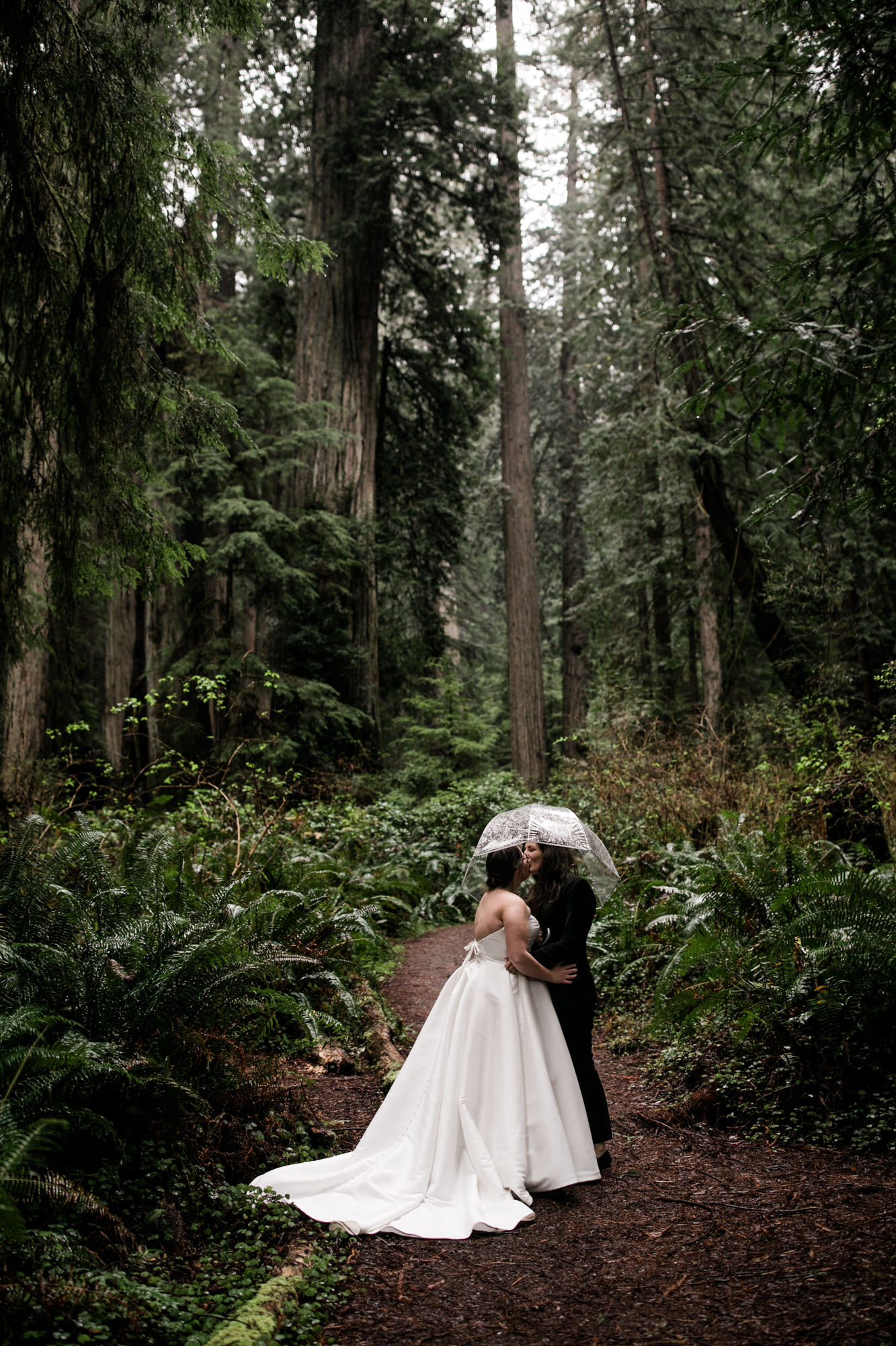 wedding photos in redwood national park
