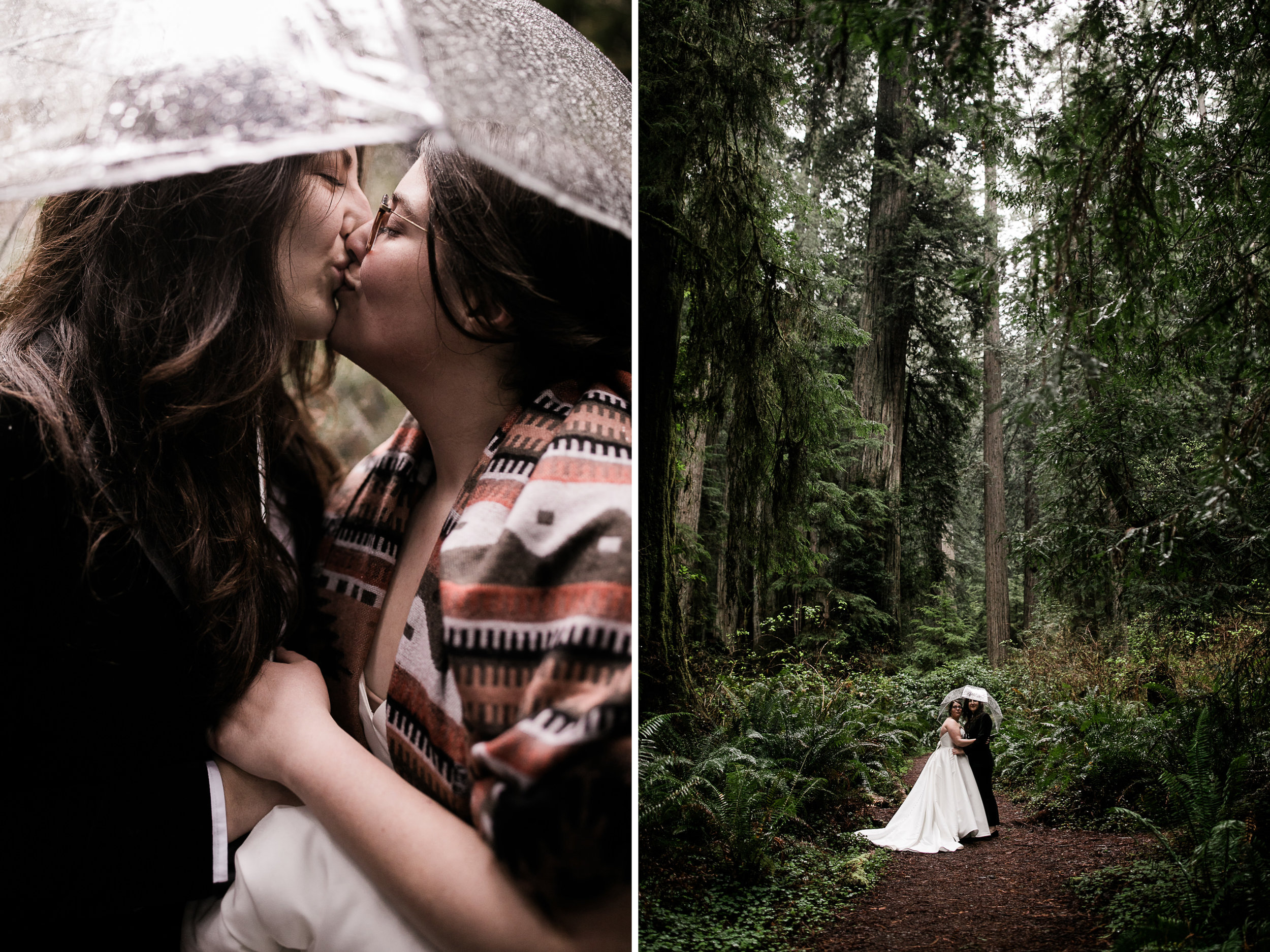 lesbian wedding couple in the california redwoods