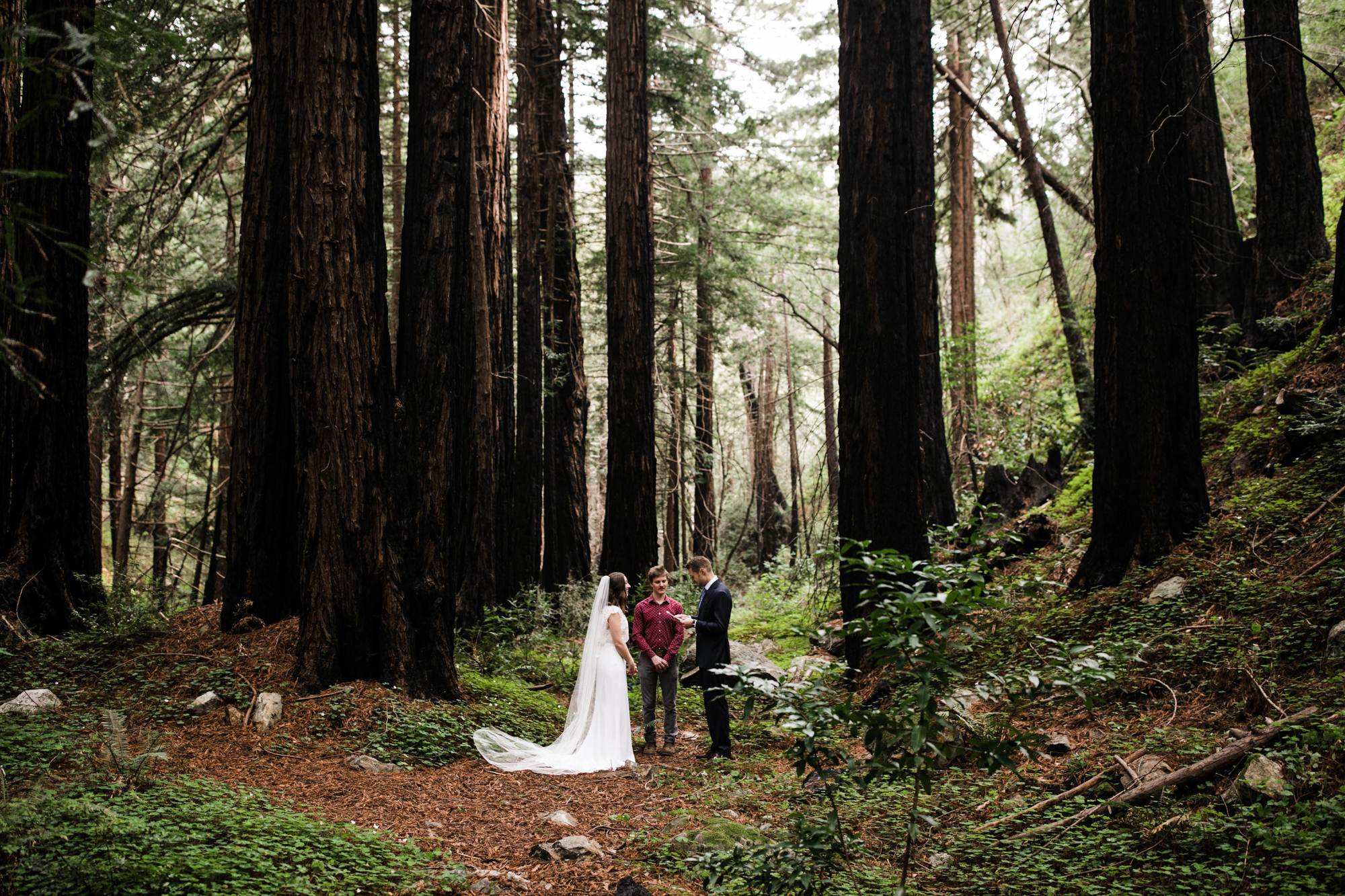 Spring elopement in Big Sur, California | The Hearnes Adventure Wedding Photography