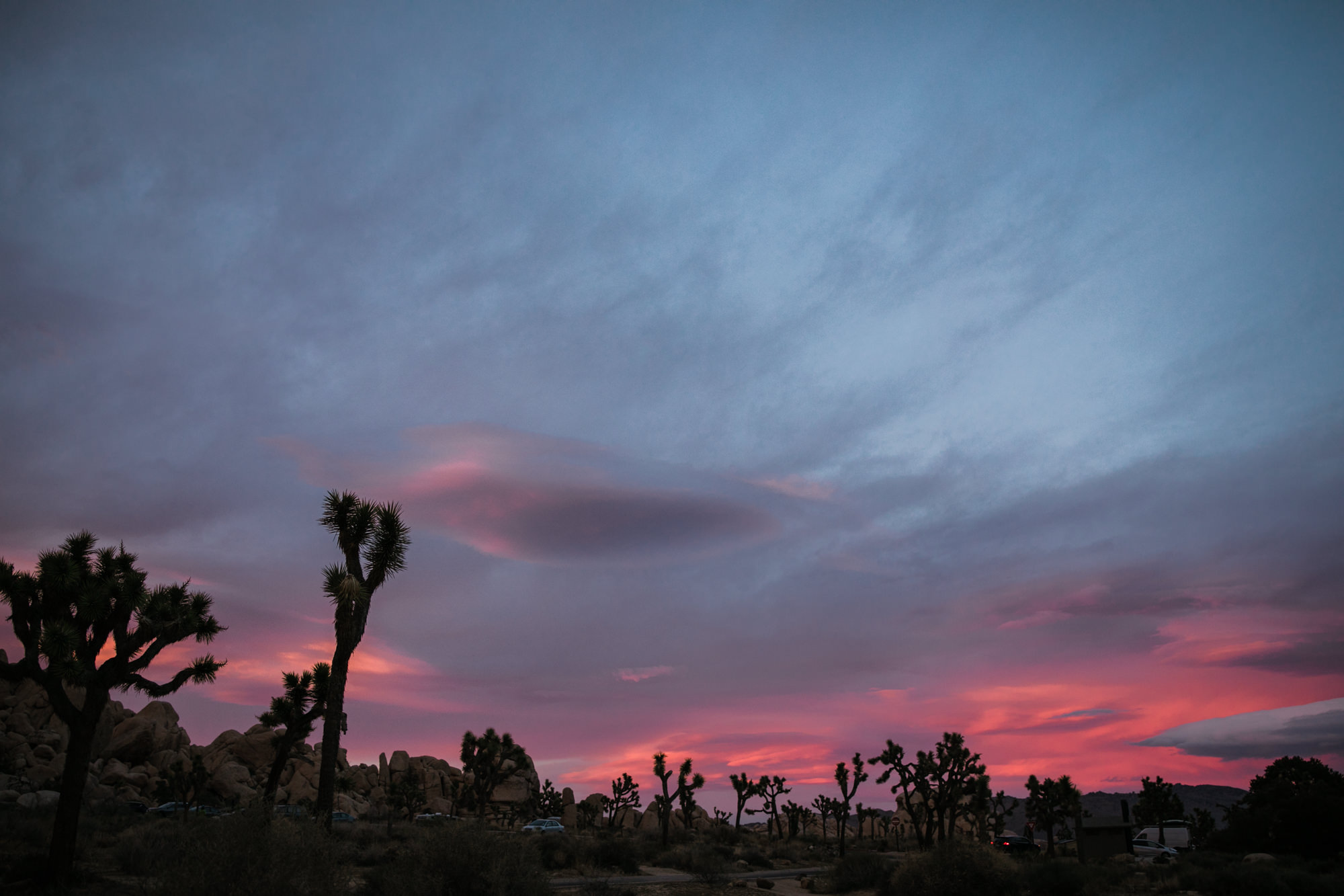 tamara + jerry's joshua tree national park engagement session | desert elopement inspiration | the hearnes adventure wedding photography | www.thehearnes.com