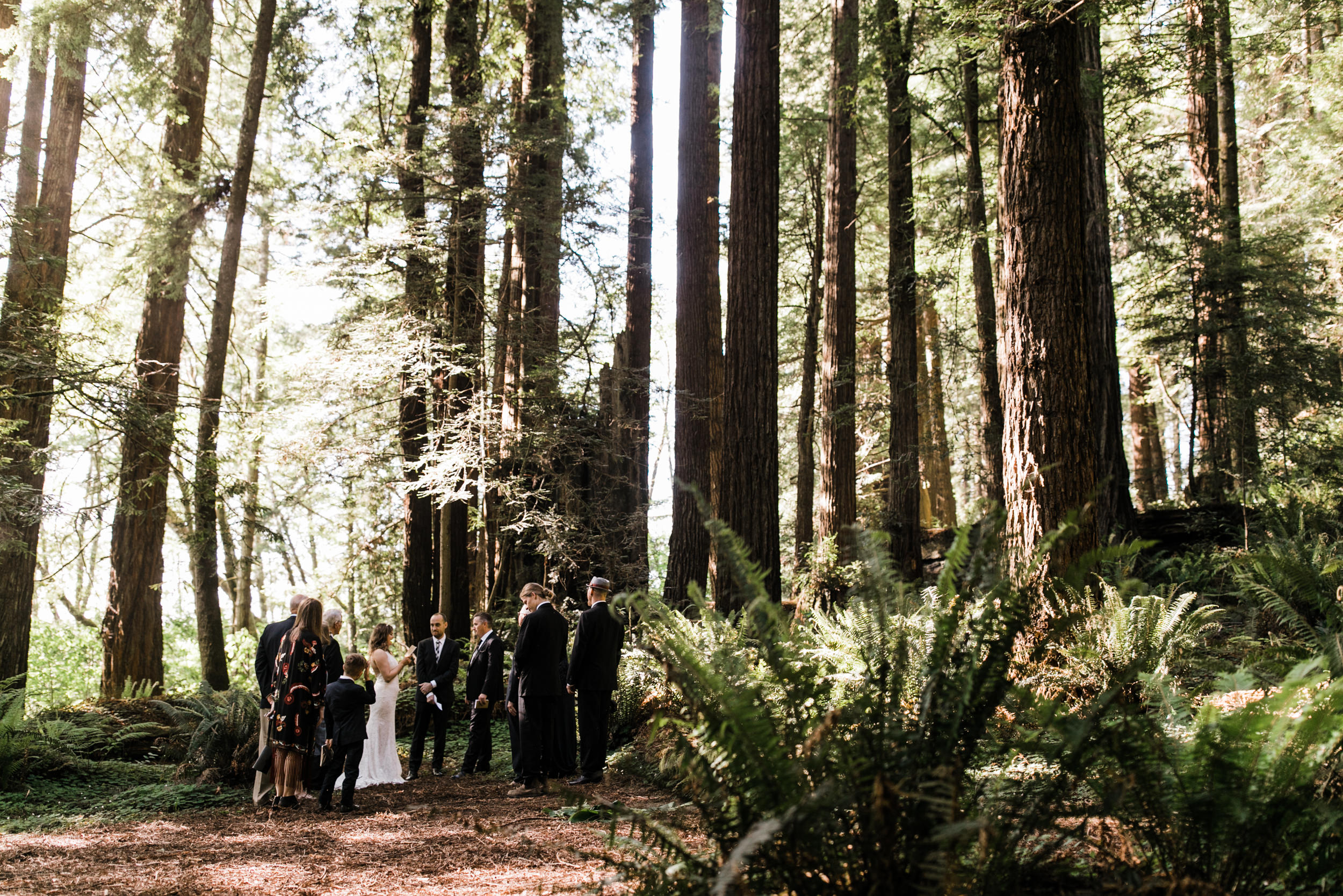 intimate wedding ceremony in the redwood forest | adventure wedding photographer | redwoods national park elopement | www.thehearnes.com