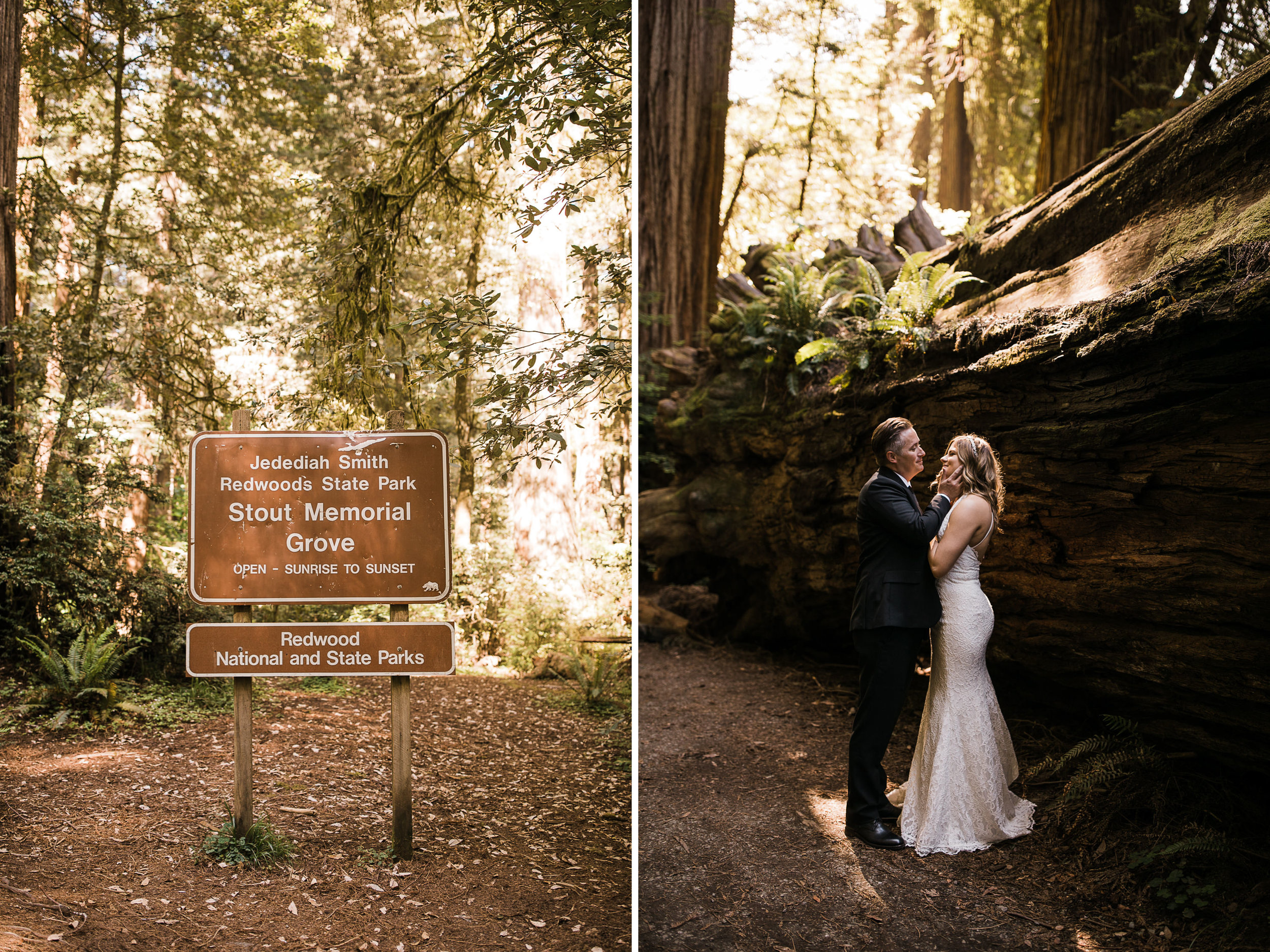 intimate wedding ceremony in the redwood forest | adventure wedding photographer | redwoods national park elopement | www.thehearnes.com