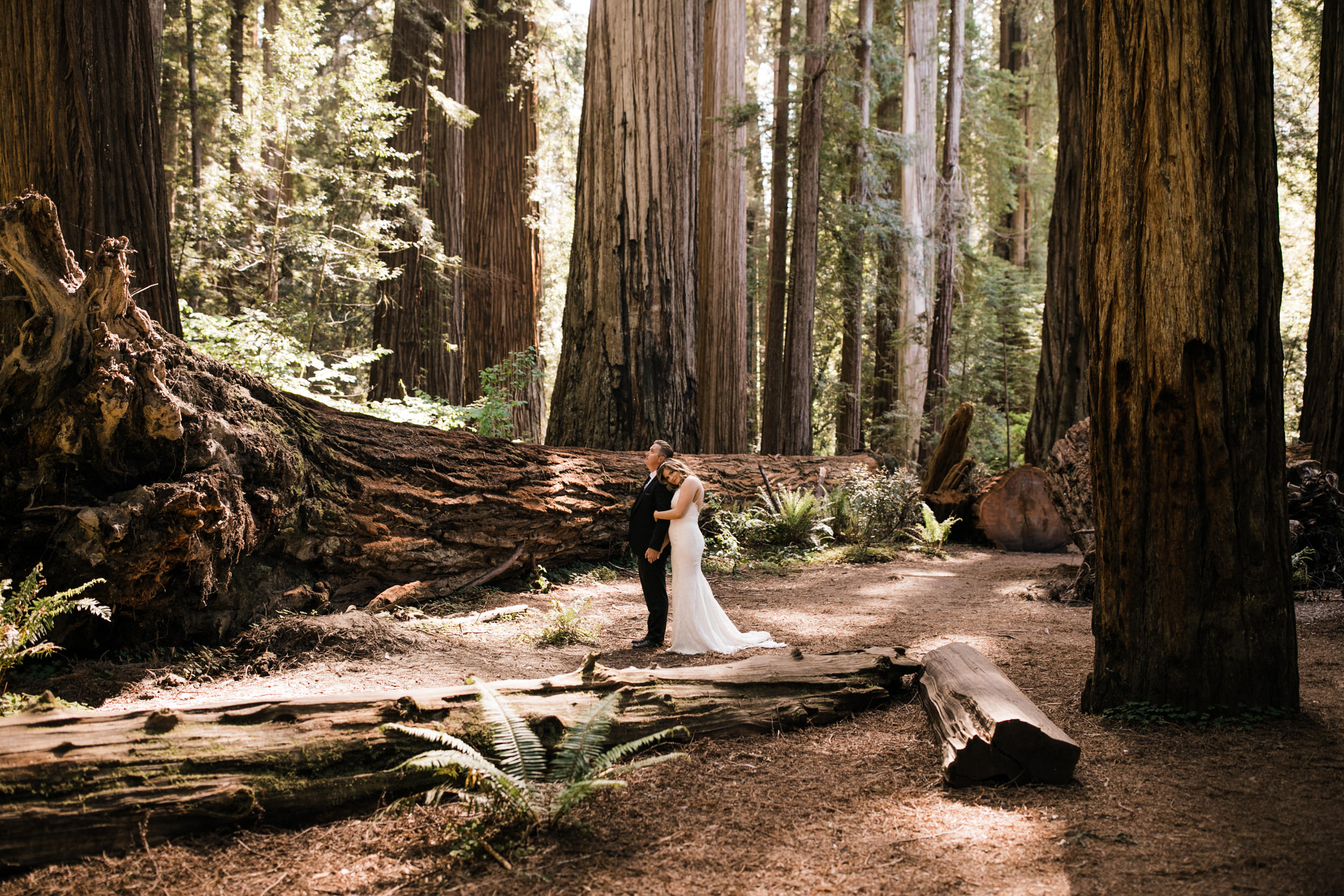 intimate wedding ceremony in the redwood forest | adventure wedding photographer | redwoods national park elopement | www.thehearnes.com