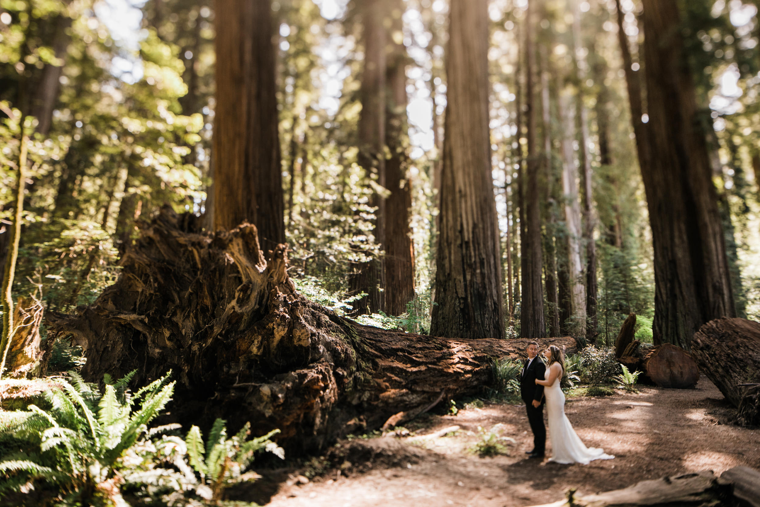 intimate wedding ceremony in the redwood forest | adventure wedding photographer | redwoods national park elopement | www.thehearnes.com