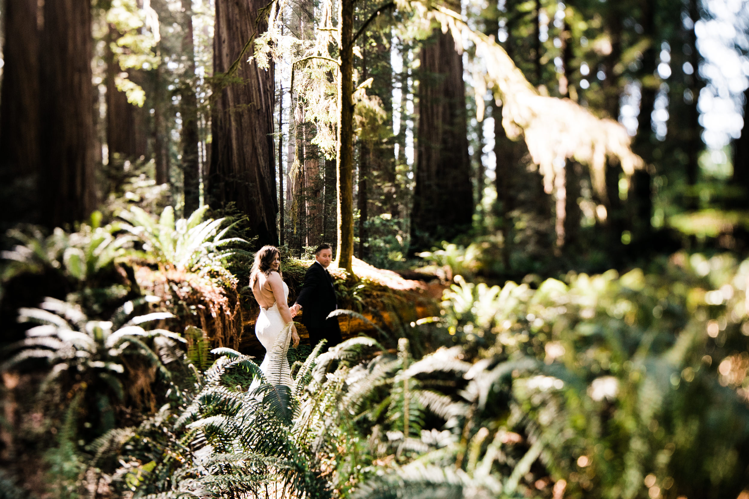 intimate wedding ceremony in the redwood forest | adventure wedding photographer | redwoods national park elopement | www.thehearnes.com