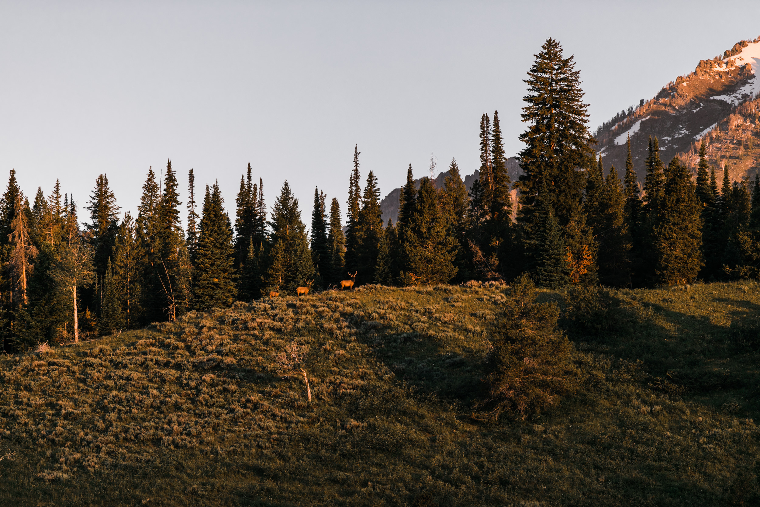 tara + david's post-wedding adventure portrait session in grand teton national park | jackson, wyoming wedding photographer | the hearnes adventure photography