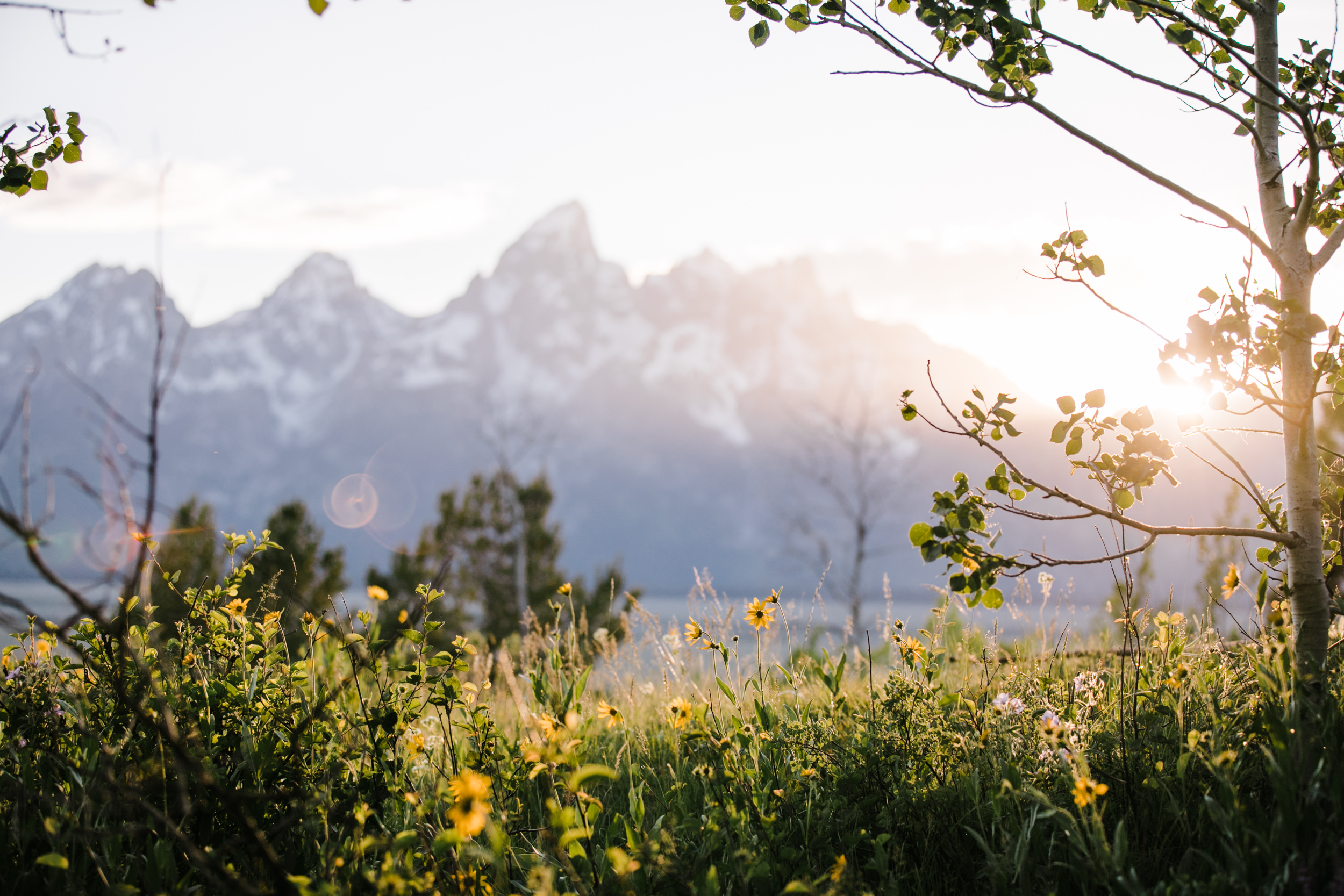 maggie + gary's adventure engagement session in grand teton national park | jackson hole, wyoming wedding photographer | the hearnes adventure photography