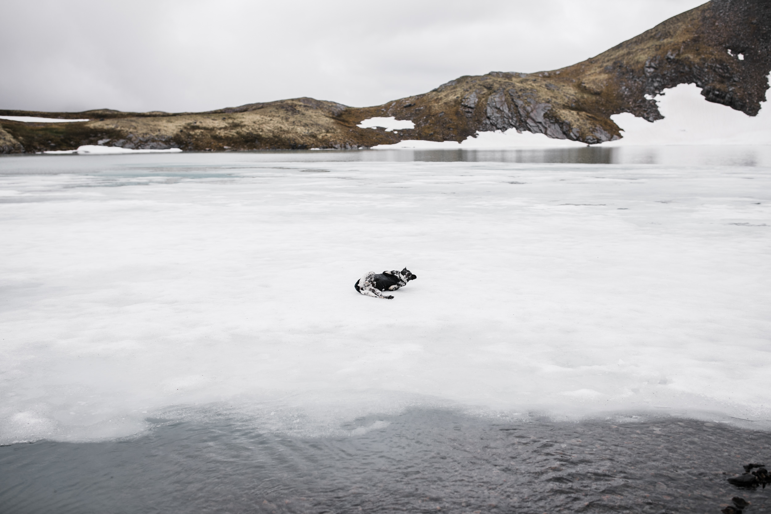 adventure engagement session in alaska | alyeska, girdwood elopement photographer | alaska destination wedding photographer | the hearnes adventure photography